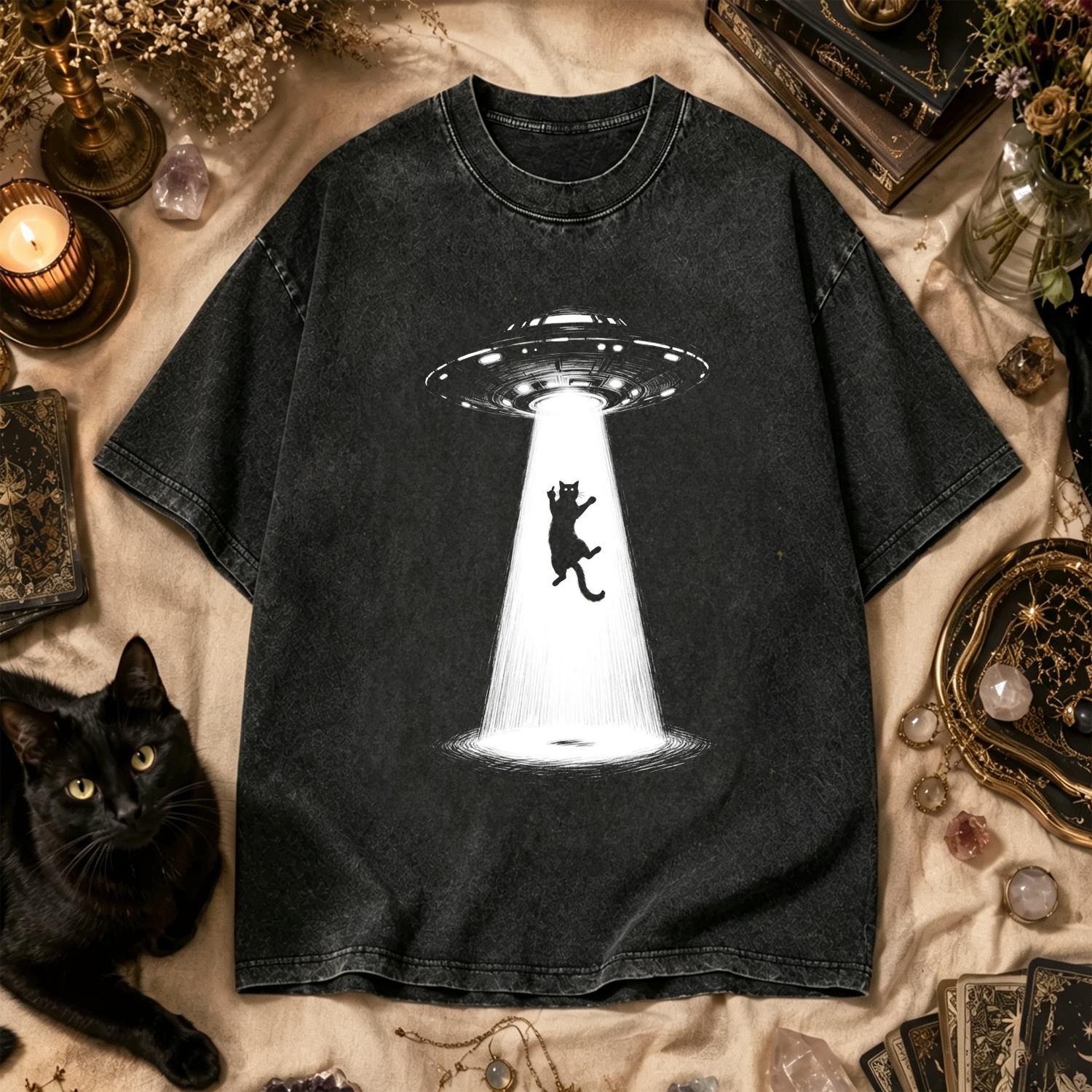 Moonnora Cat Bad Mood UFO Washed T-Shirt