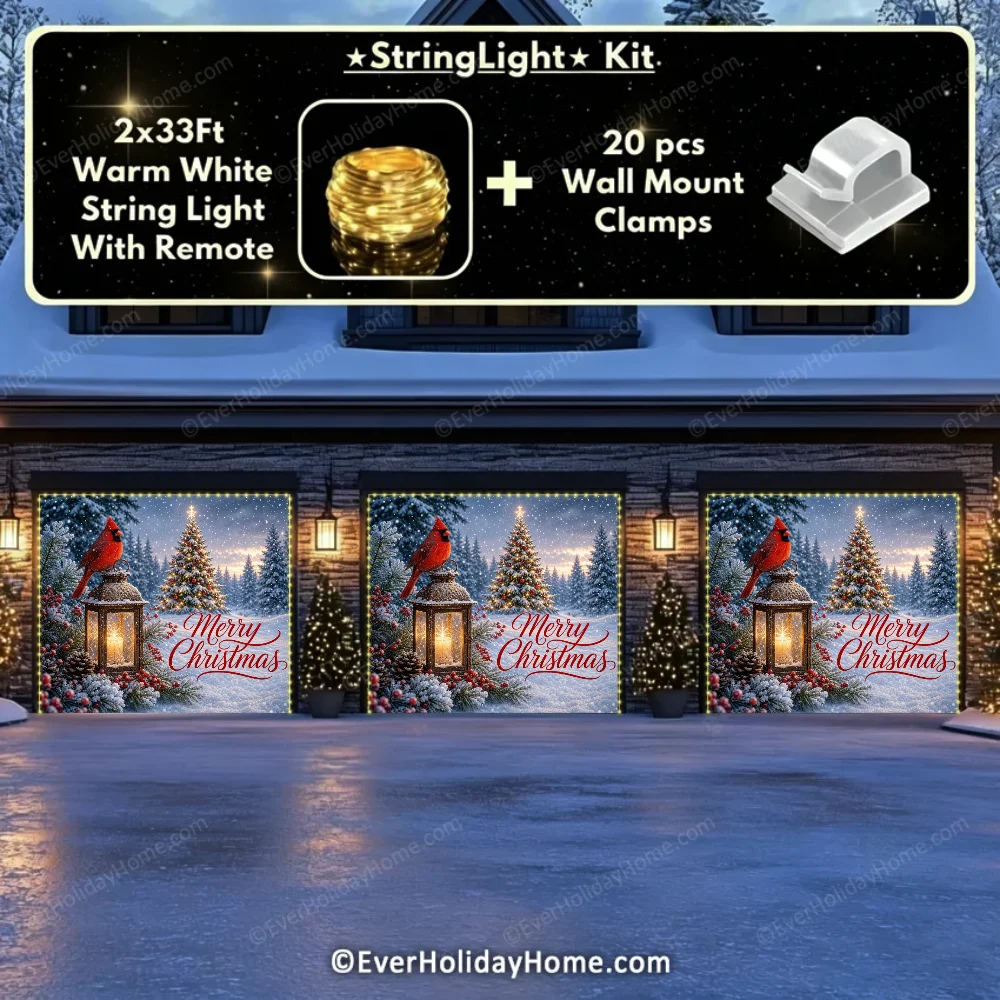 248096 夜间三门