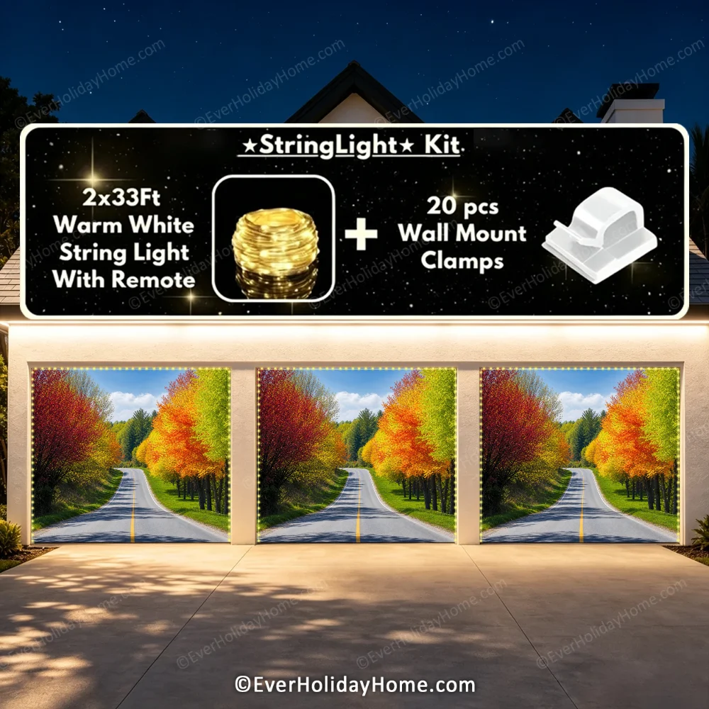 261497 夜间三门