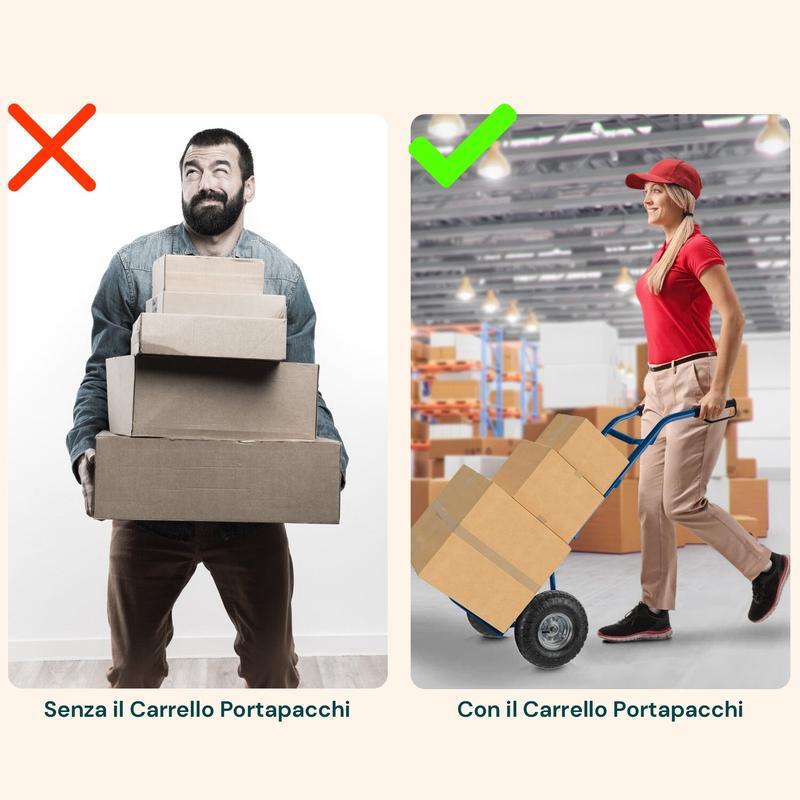 Carrello da Carico Professionale 250 kg in Acciaio - Nero con Ruote Pneumatiche Antiforo