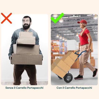 Carrello da Carico Professionale 250 kg in Acciaio - Nero con Ruote Pneumatiche Antiforo