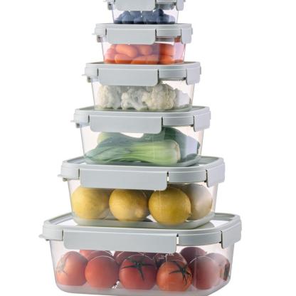 Set 11 Contenitori Rettangolari con Coperchio Ermetico in PP 230-2700 ml per Microonde Frigo e Freezer