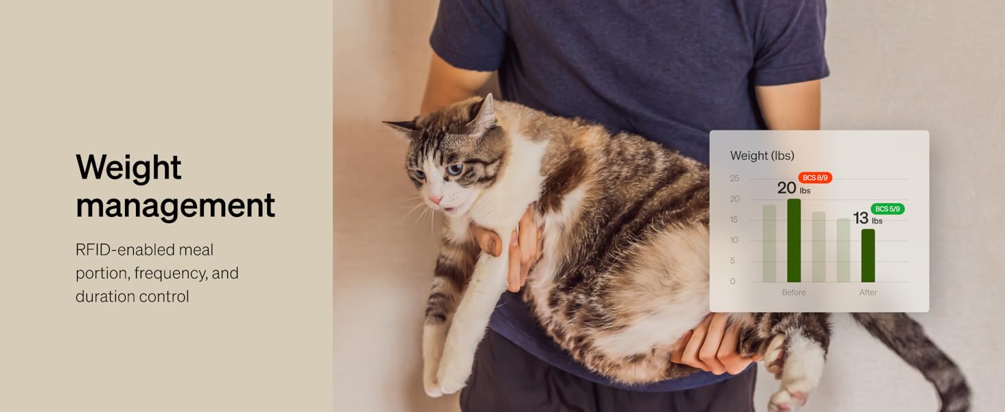 petlibro automatic cat feeder