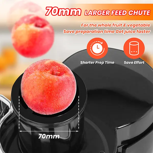 Home Juicer Machine, 800W Fast Juice Maker with Dual Speed Control, Easy Clean Extractor for Healthy Drinks