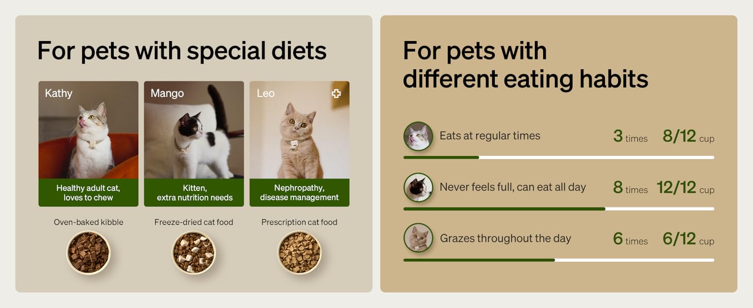 petlibro automatic cat feeder