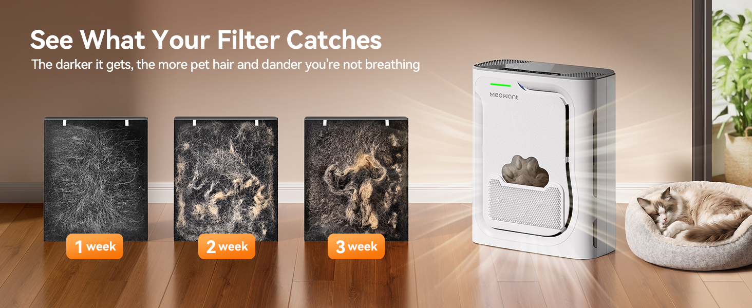 Pet Air Purify