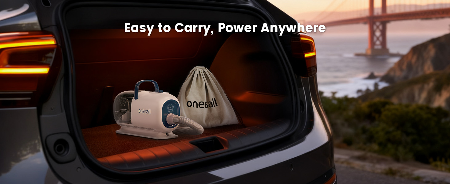 easy to carry