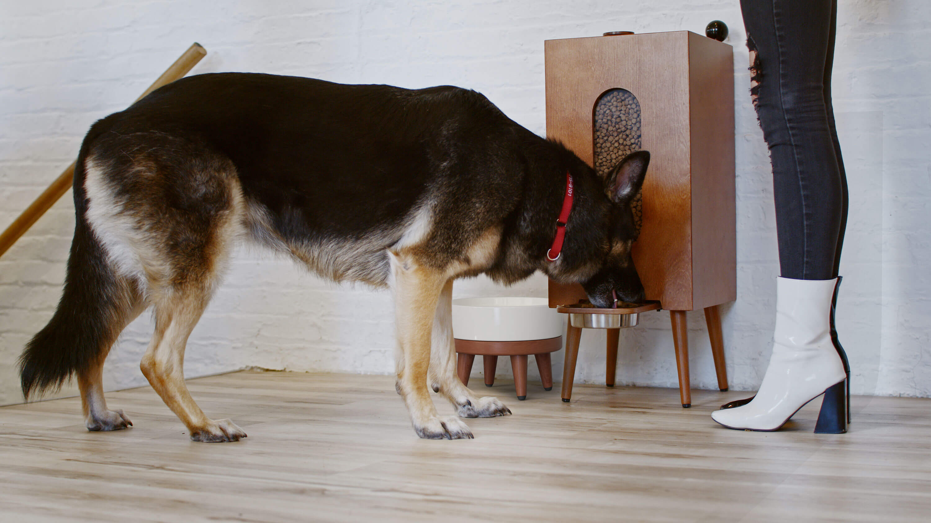 Aesthetic Dog Food Dispenser, Modern Automatic Kibble Feeder with Hidden Storage, Stylish Pet Station for Clean Home Spaces