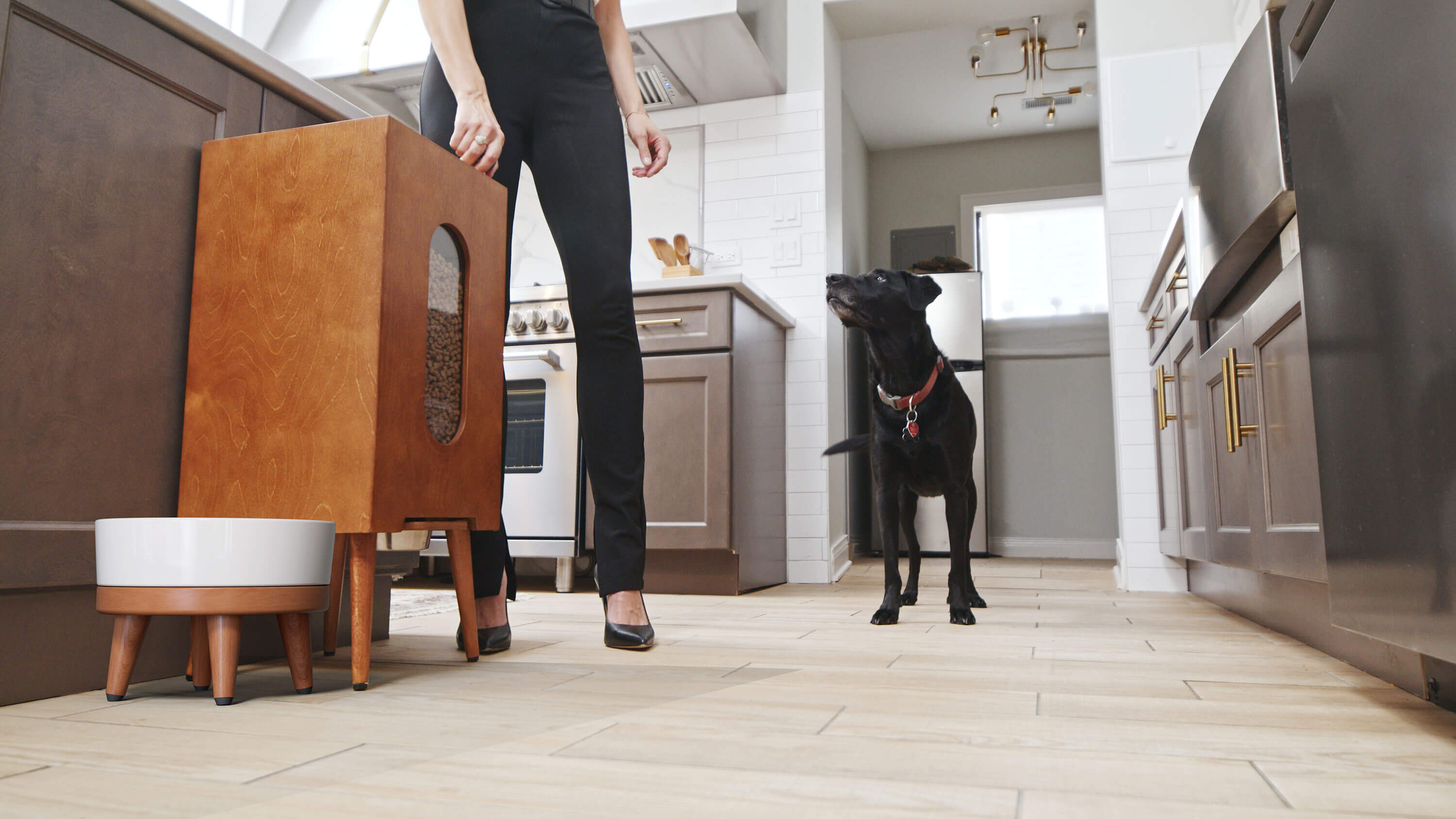 Aesthetic Dog Food Dispenser, Modern Automatic Kibble Feeder with Hidden Storage, Stylish Pet Station for Clean Home Spaces