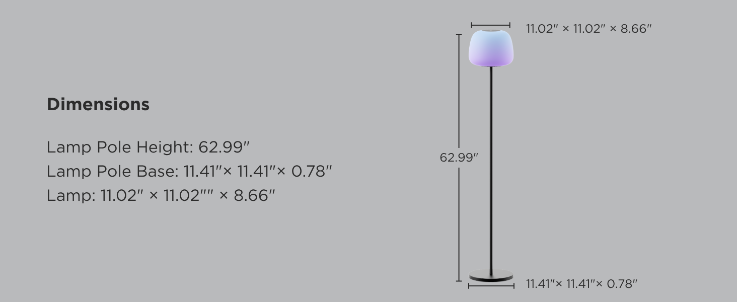Floor Lamp