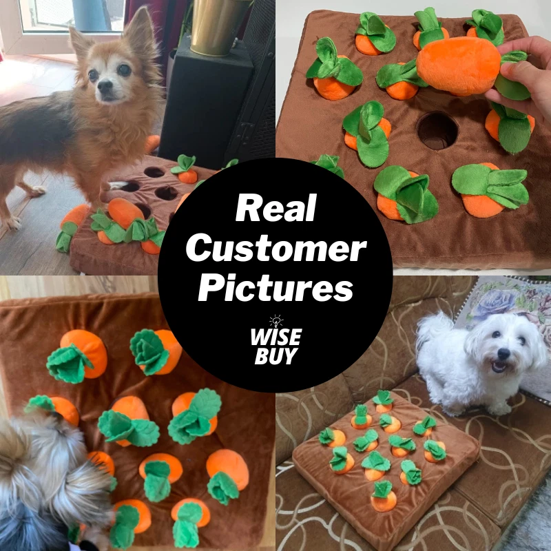 Durable dog chew toy supports dental care, relieves separation‑related boredom and keeps puppies away from destructive furniture‑chewing habits.
