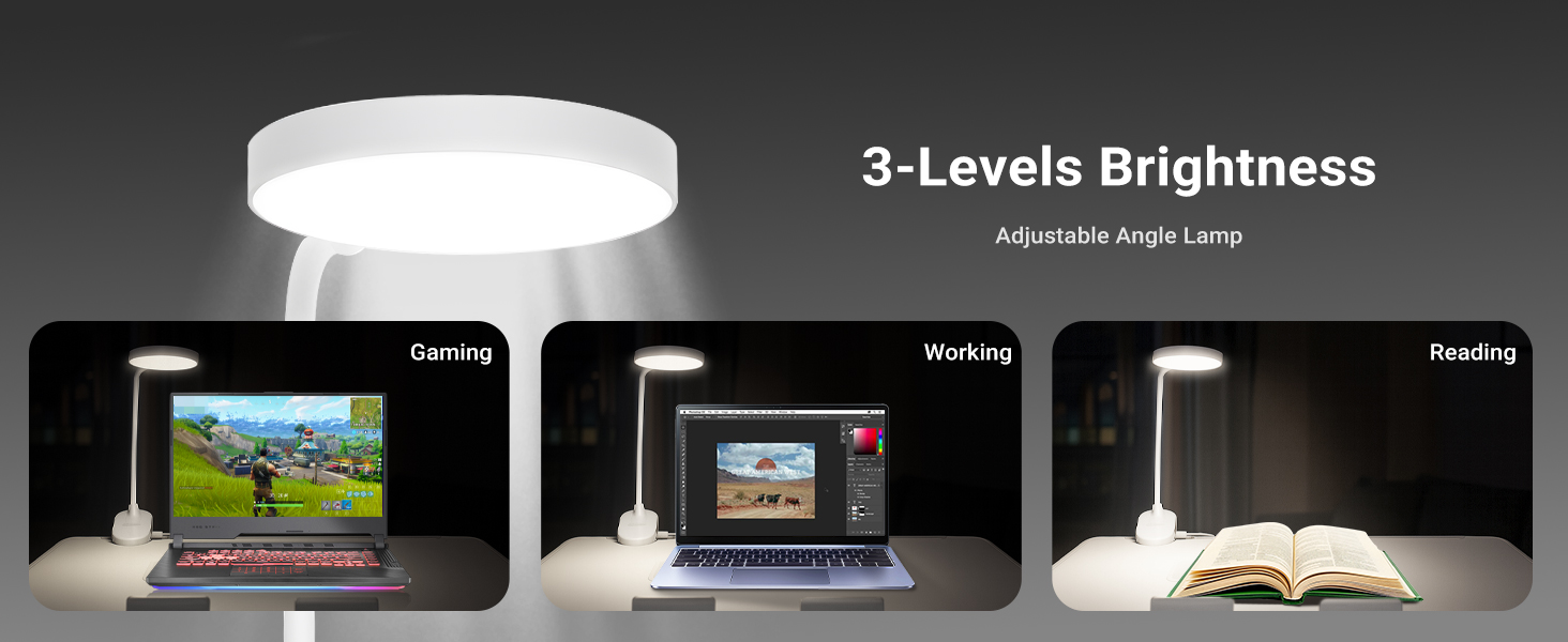 lap desk with light