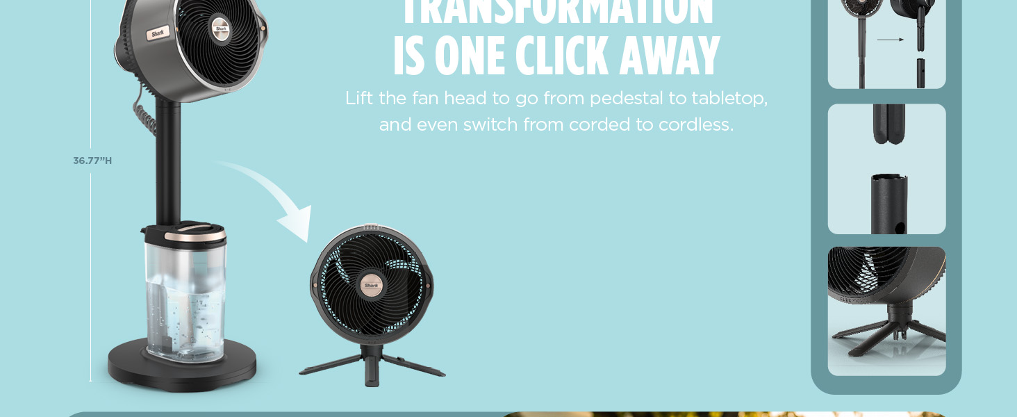 Transformation is one click away