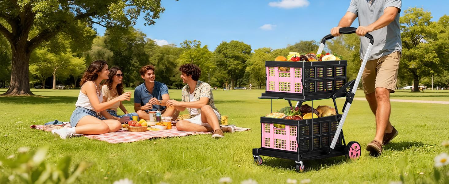 Collapsible Shopping Cart