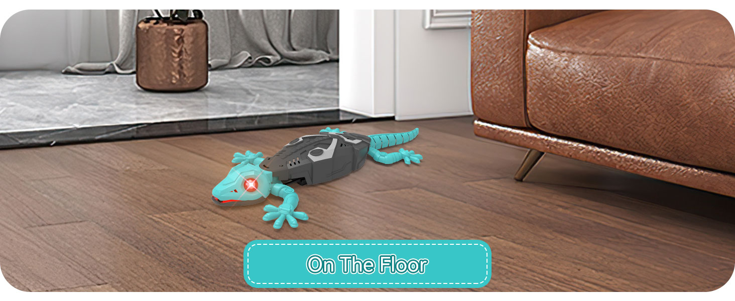 remote control car 