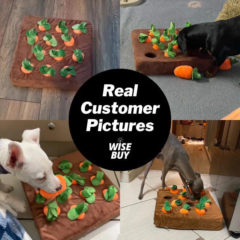 Durable dog chew toy supports dental care, relieves separation‑related boredom and keeps puppies away from destructive furniture‑chewing habits.