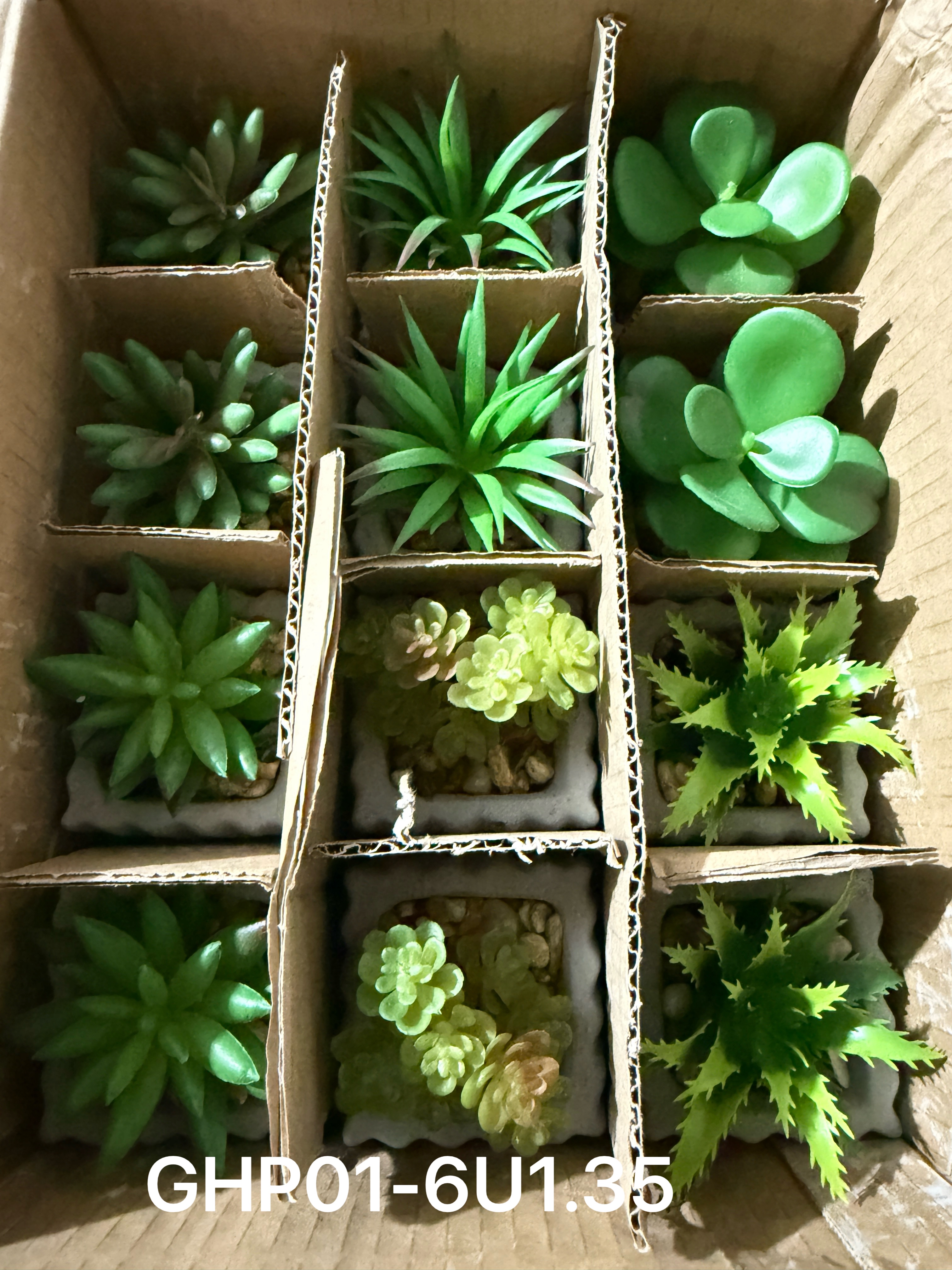 🌹叶子🍃盆栽