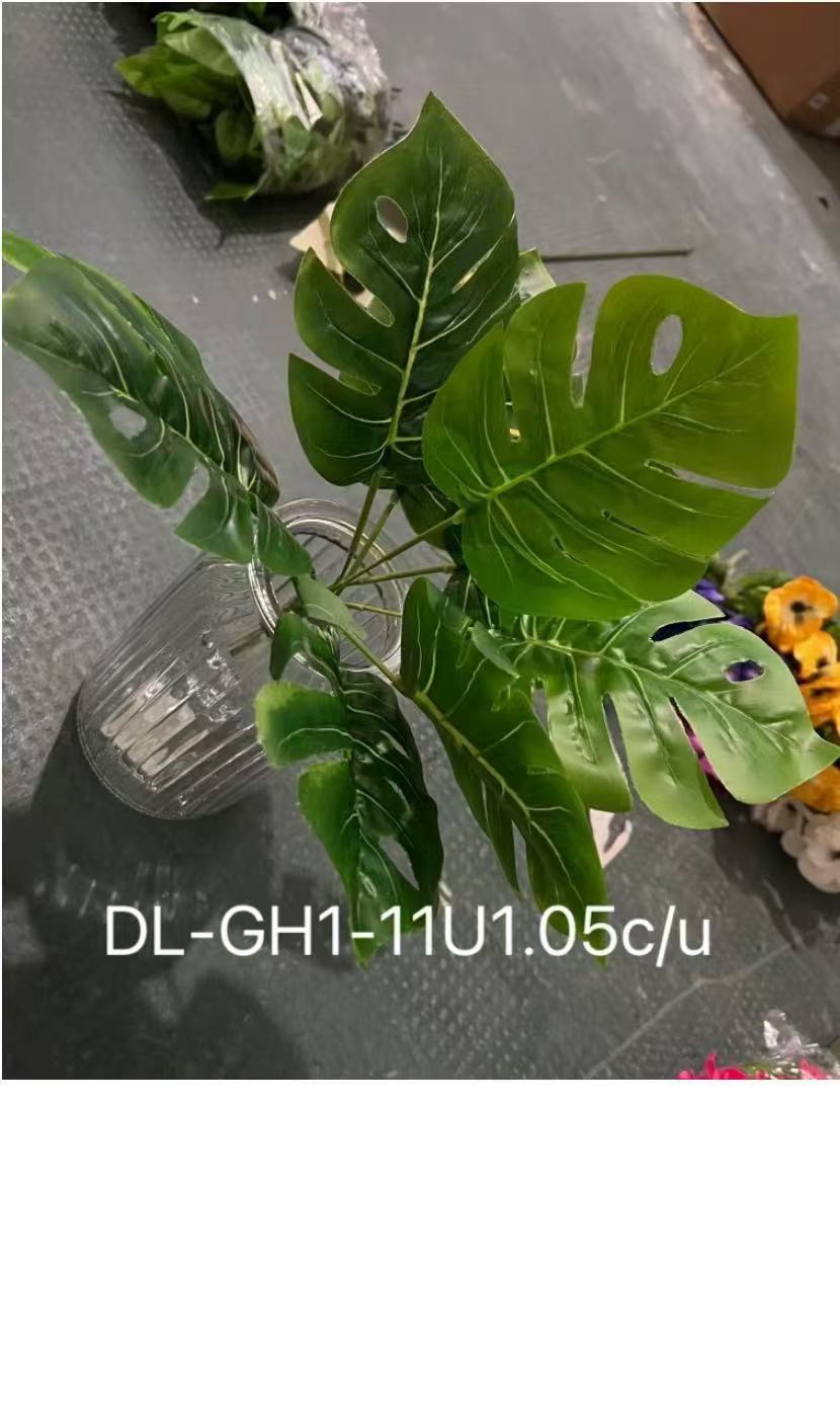 🌹叶子🍃盆栽
