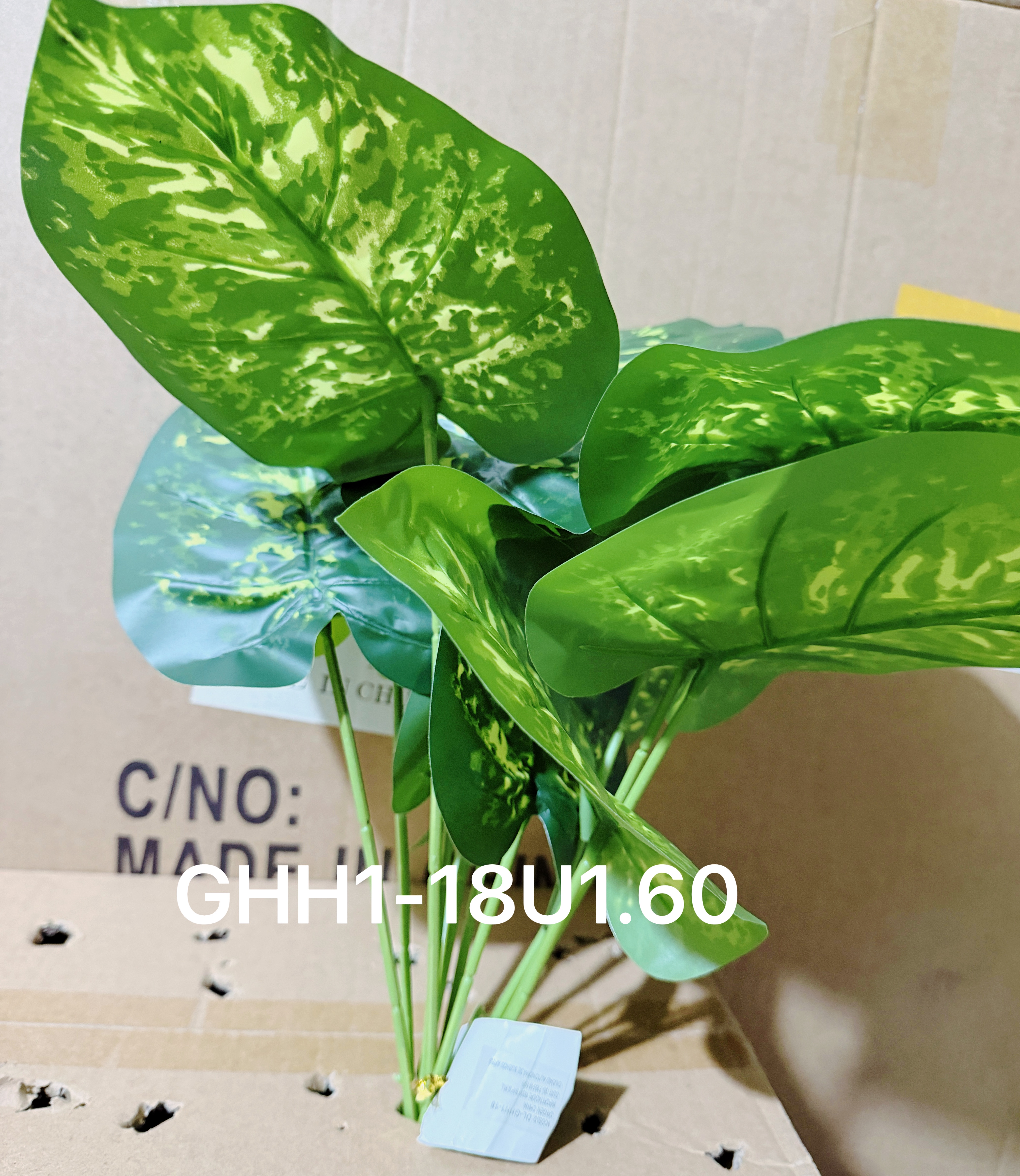 🌹叶子🍃盆栽
