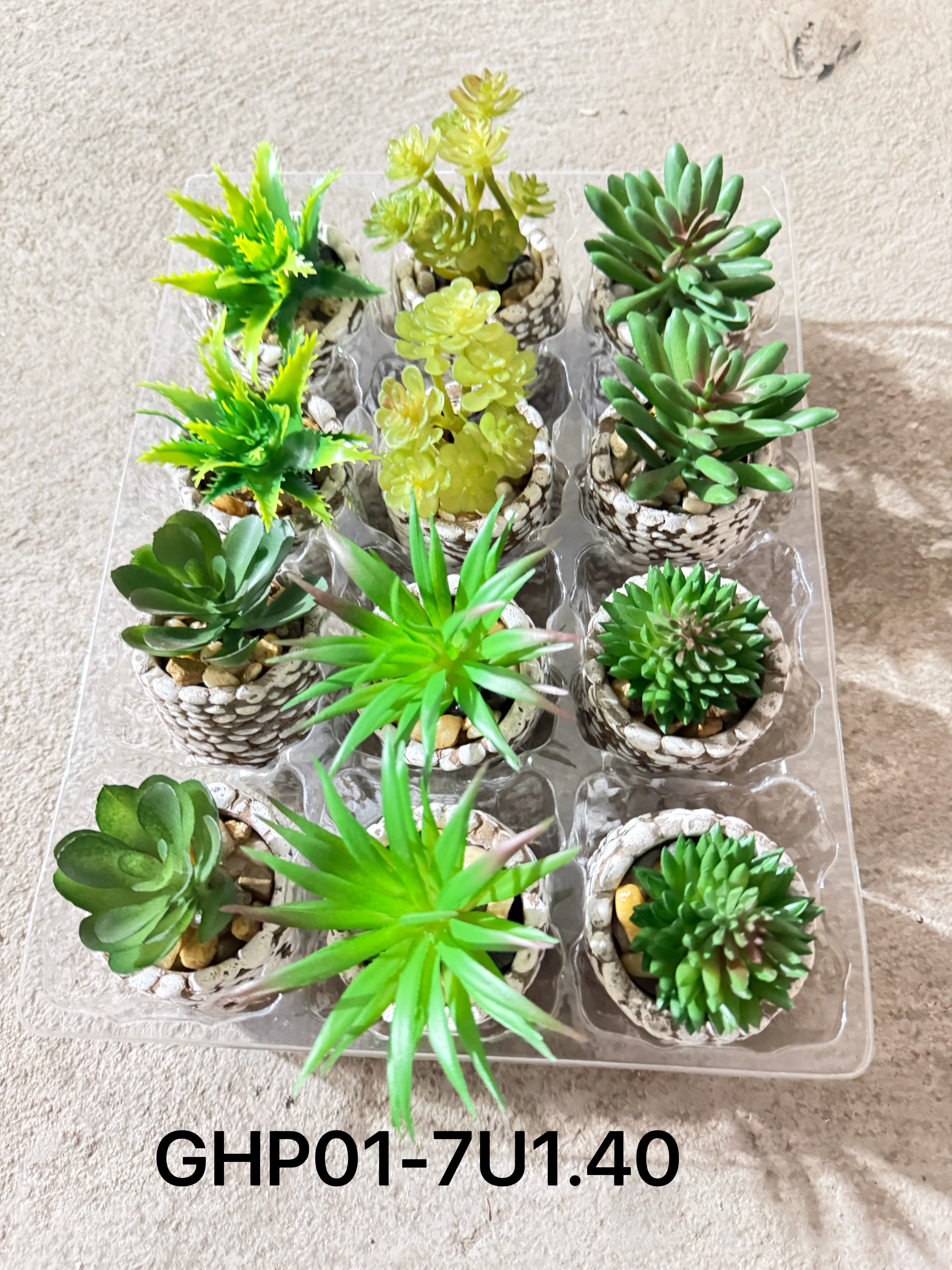 🌹叶子🍃盆栽