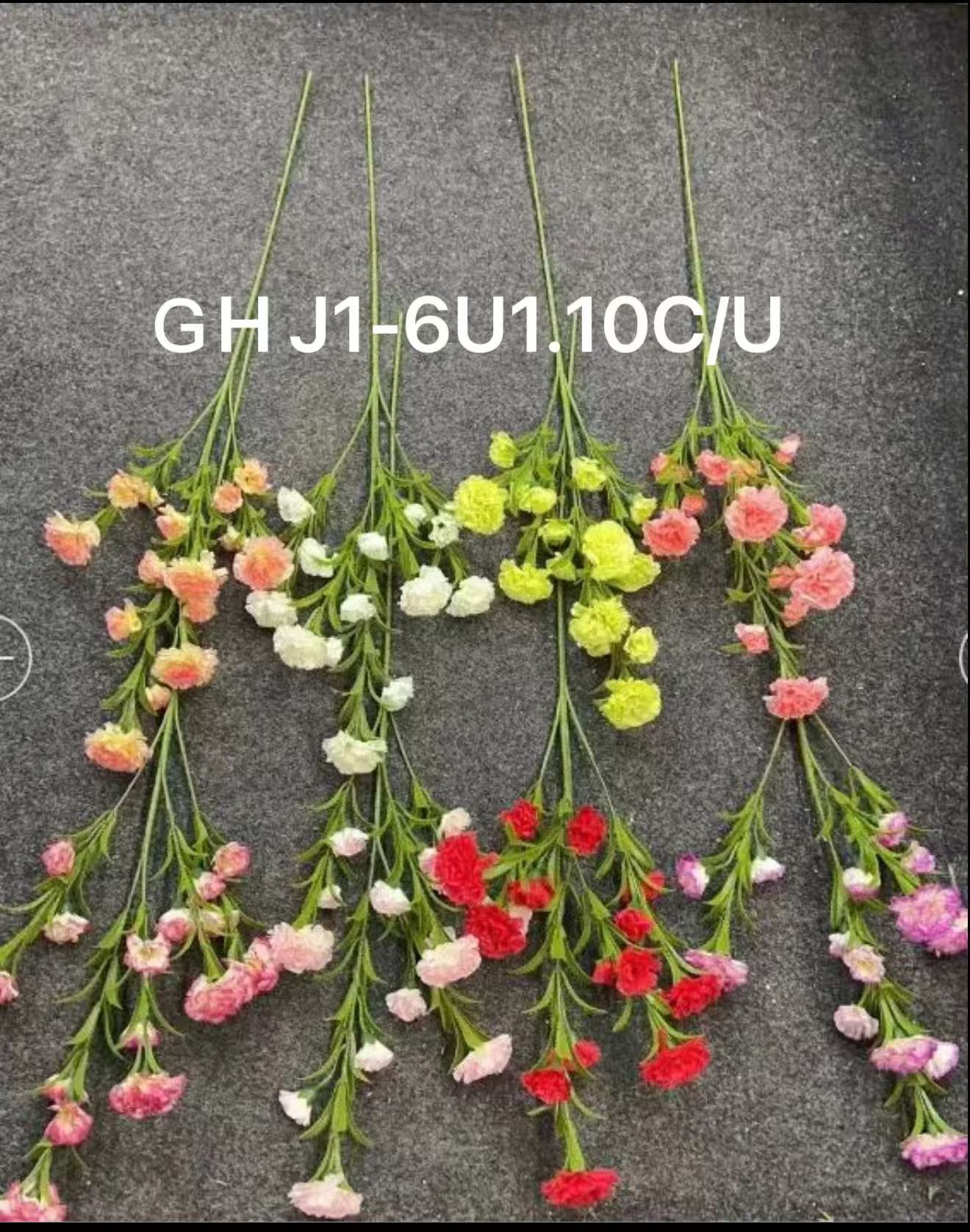🌹叶子🍃盆栽