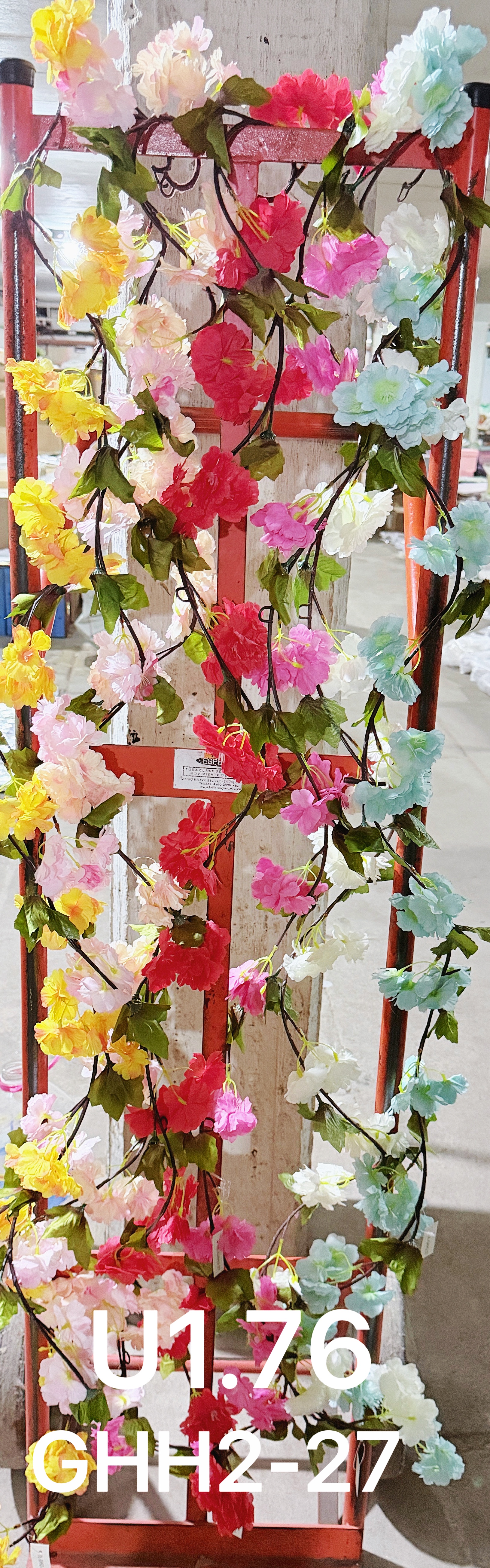 🌹叶子🍃盆栽