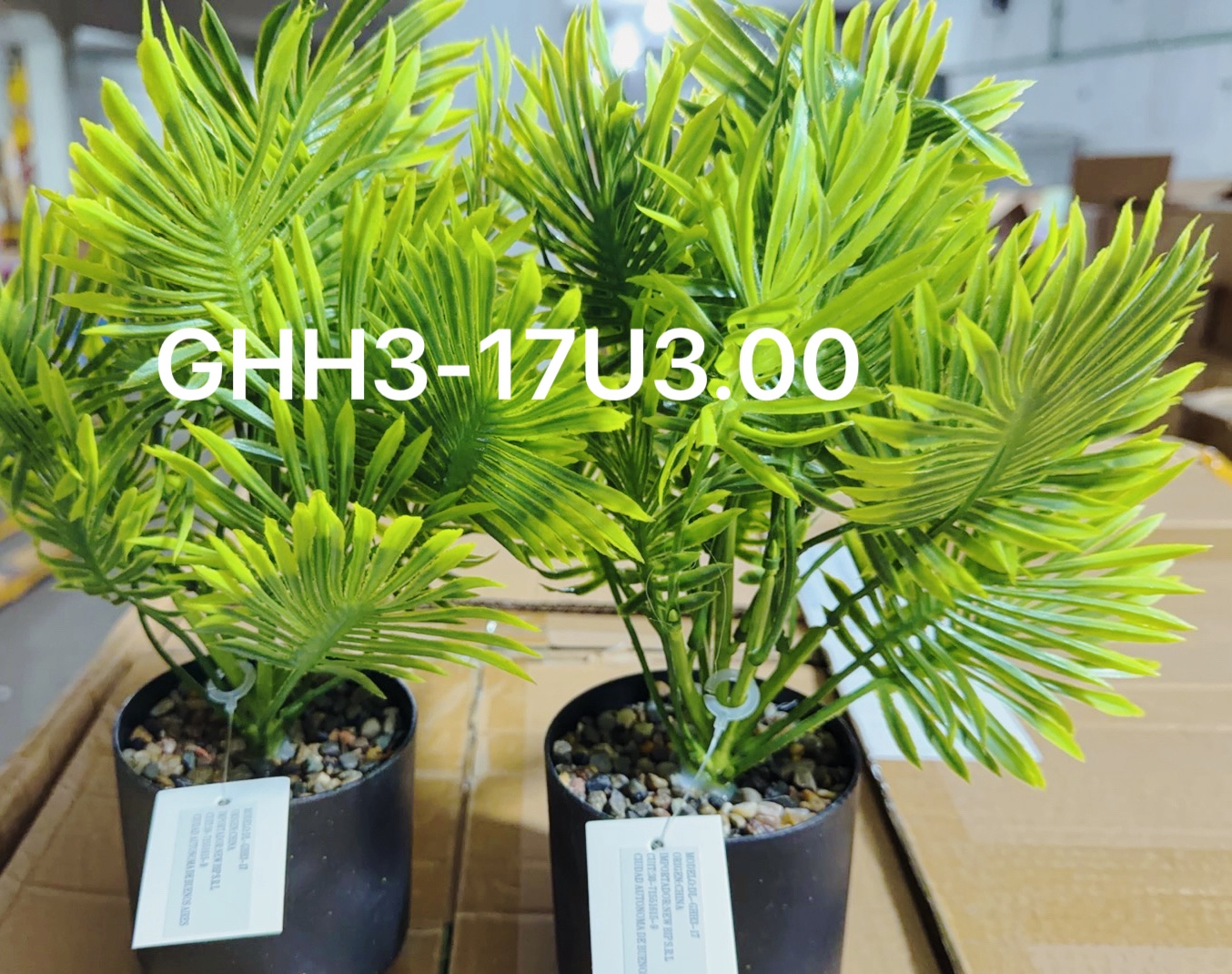 🌹叶子🍃盆栽