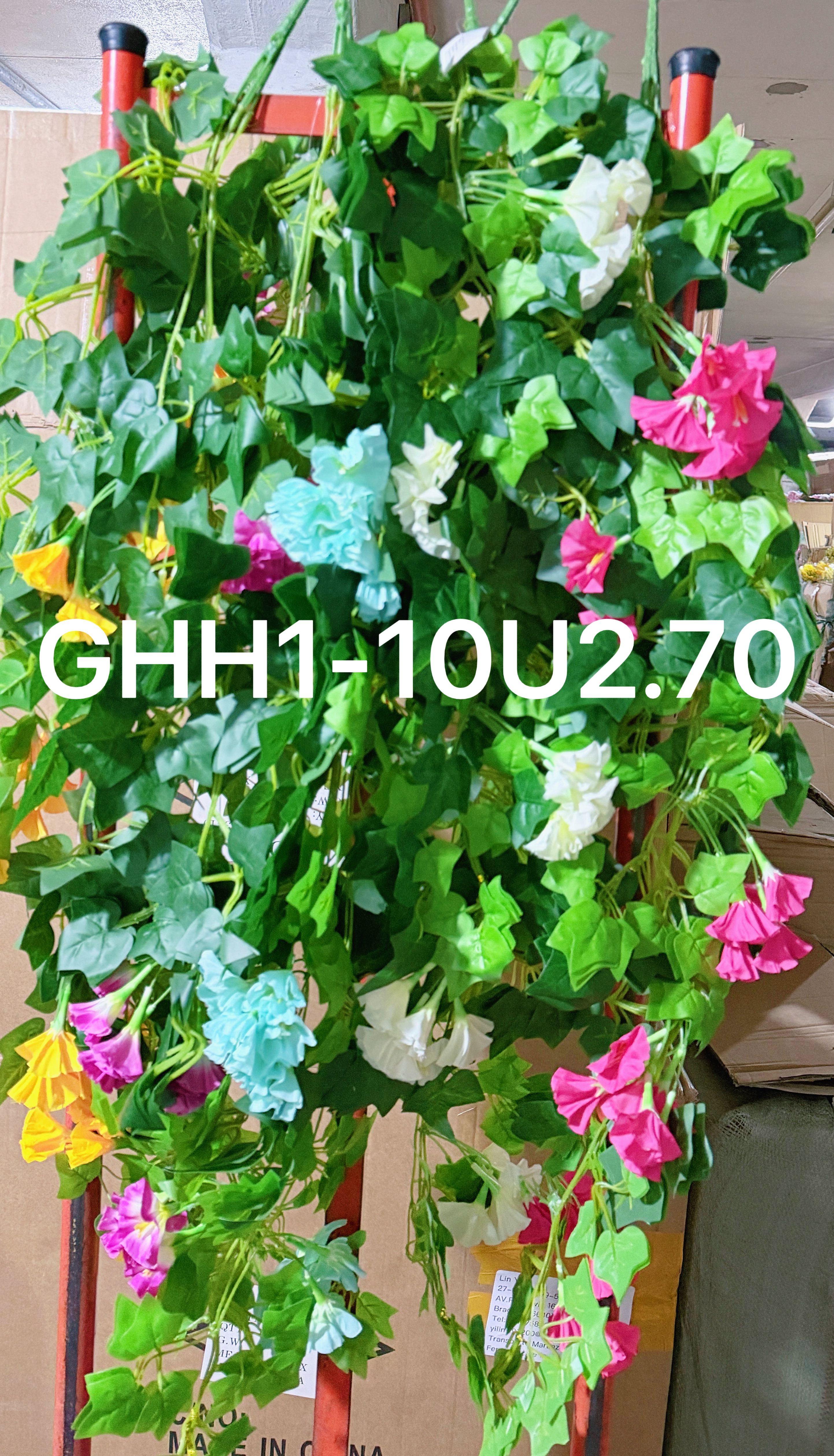 🌹叶子🍃盆栽