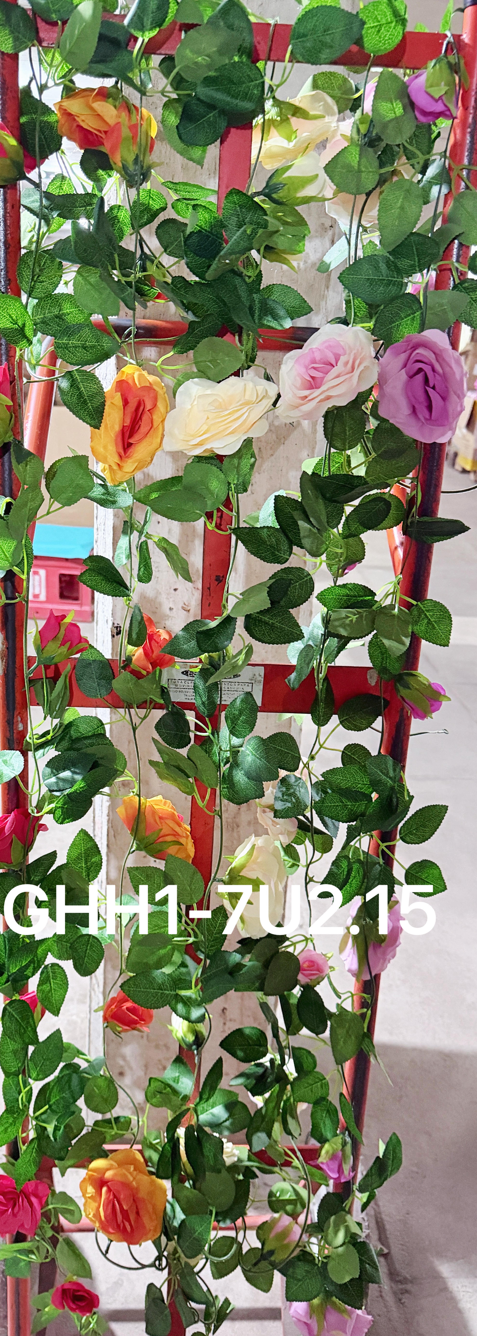 🌹叶子🍃盆栽