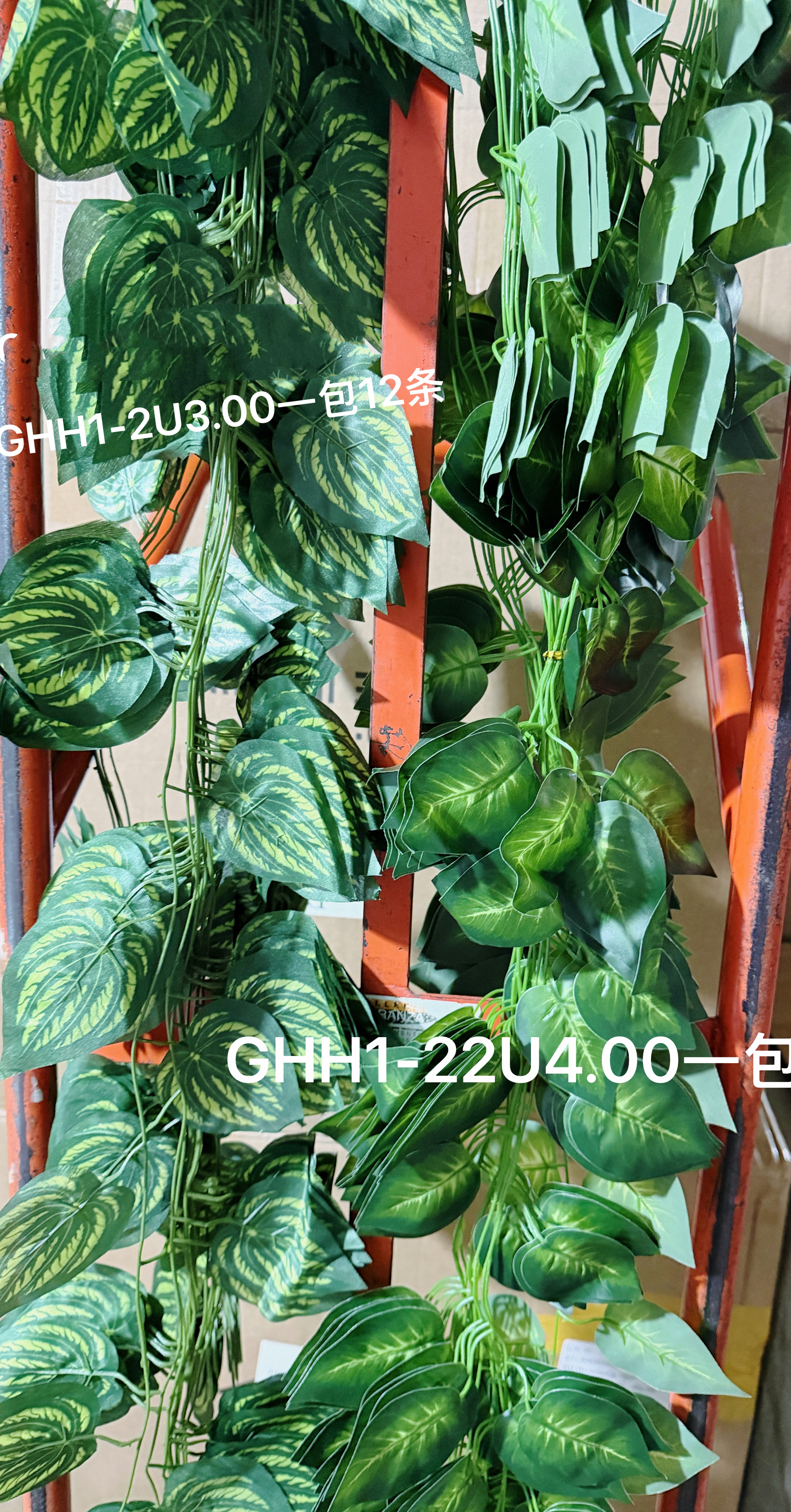 🌹叶子🍃盆栽