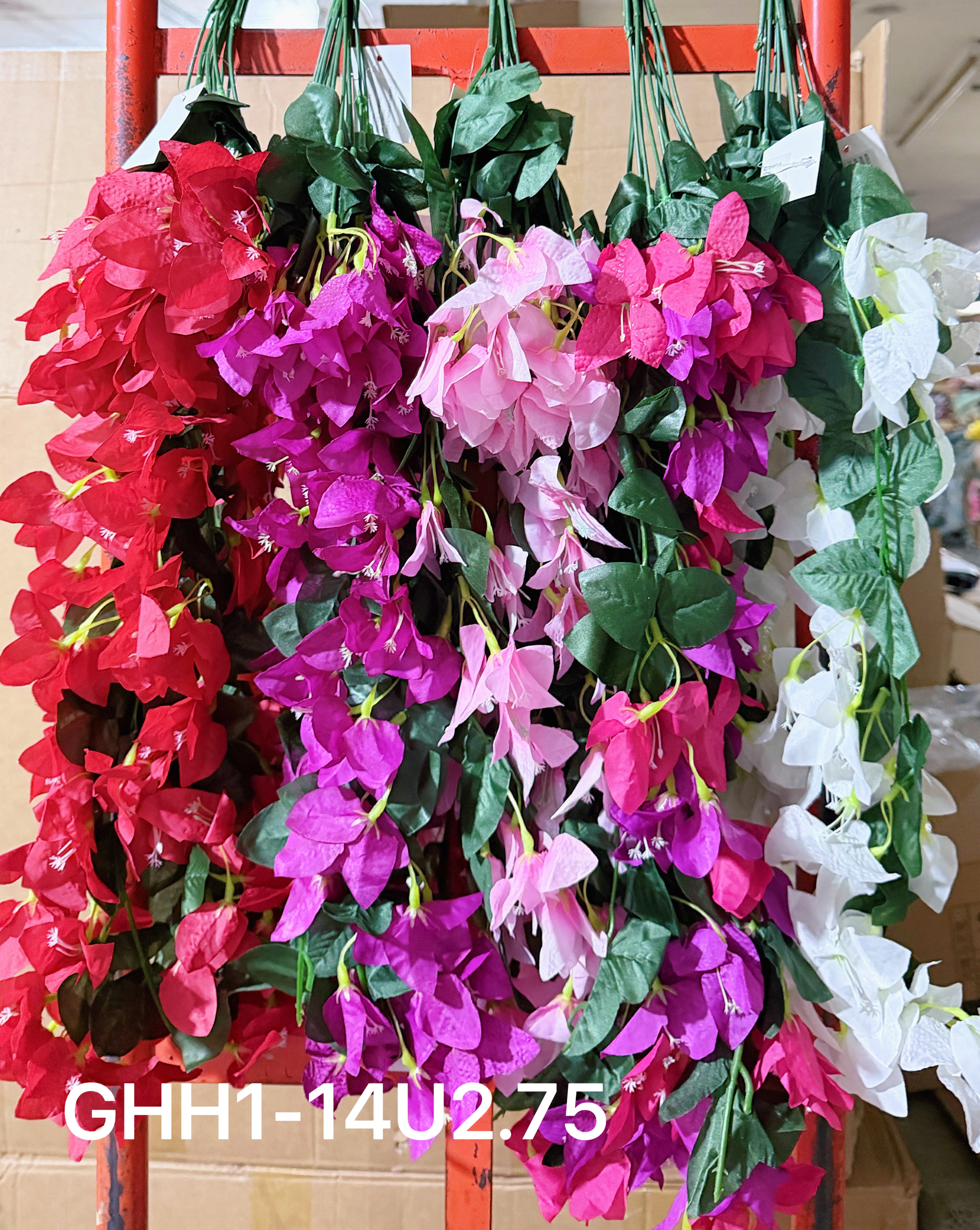 🌹叶子🍃盆栽