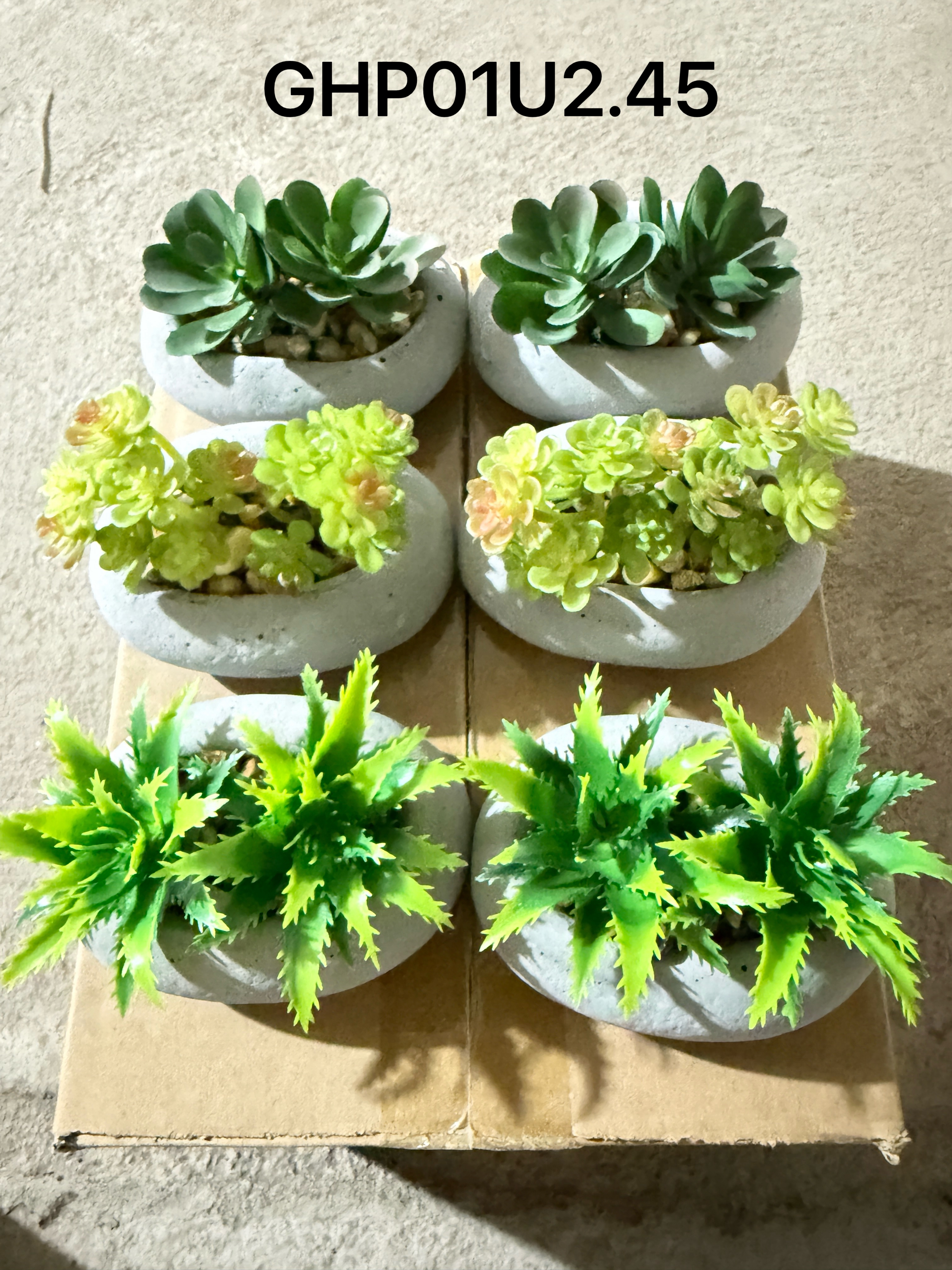 🌹叶子🍃盆栽