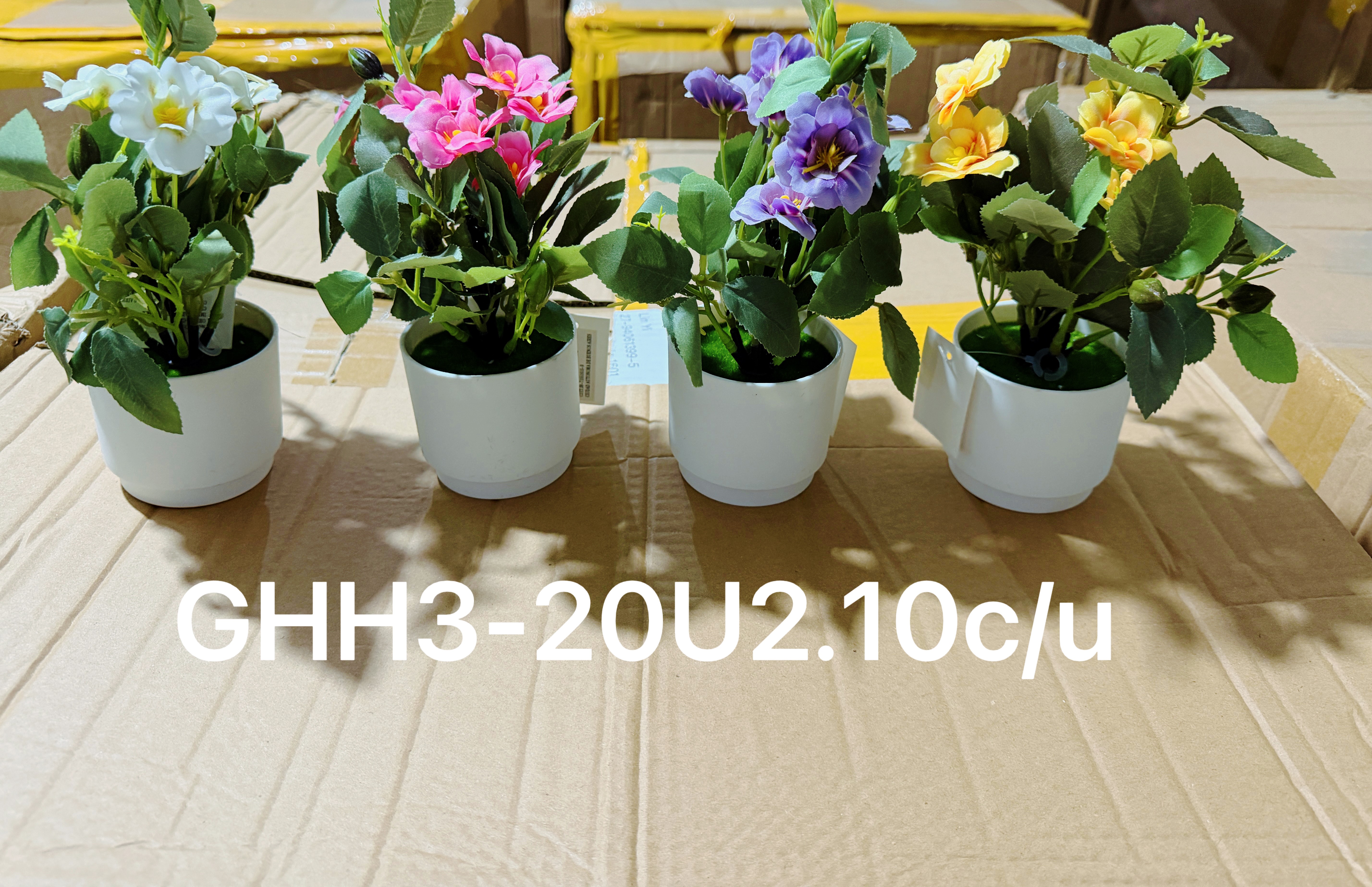 🌹叶子🍃盆栽