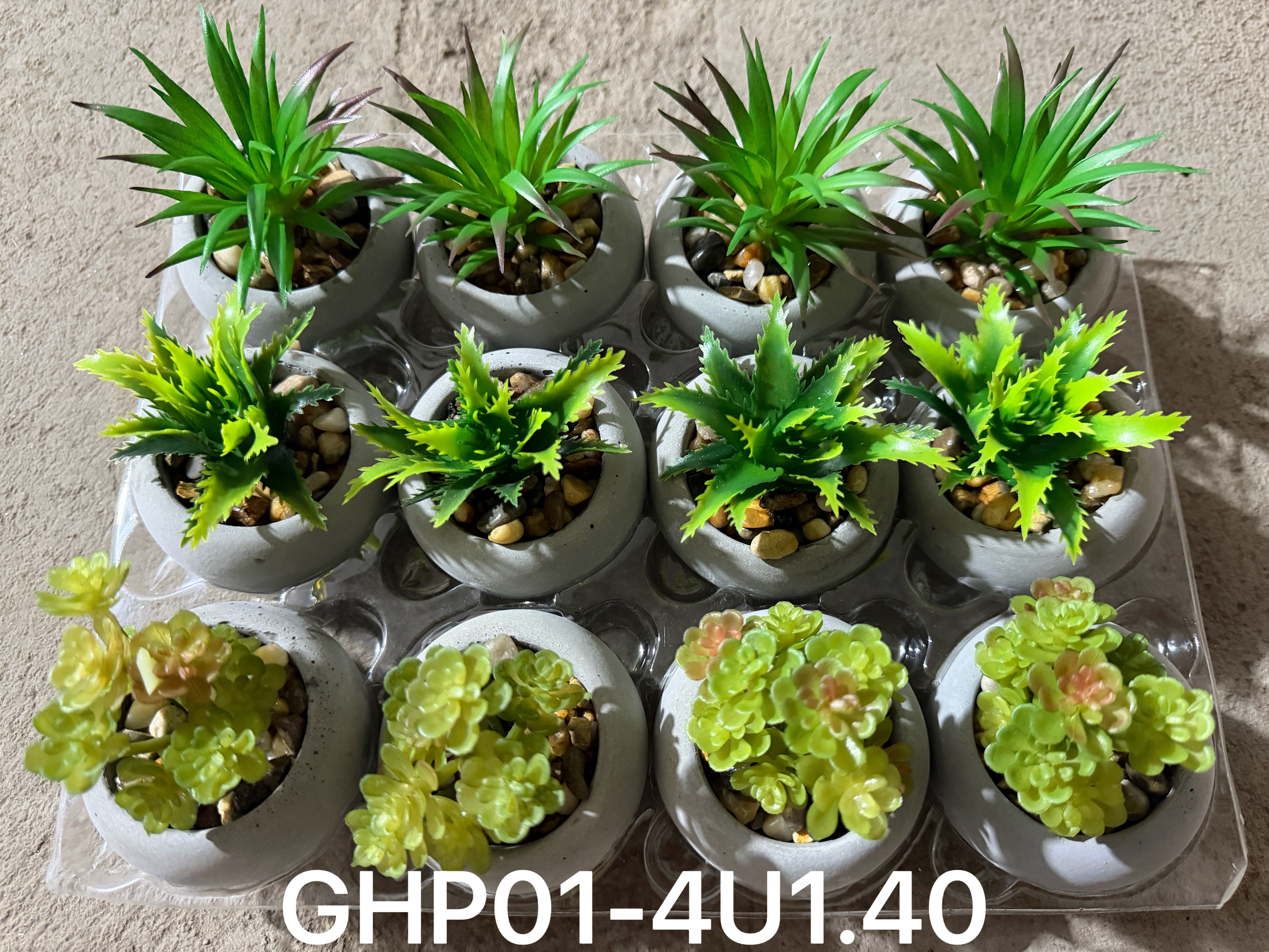 🌹叶子🍃盆栽