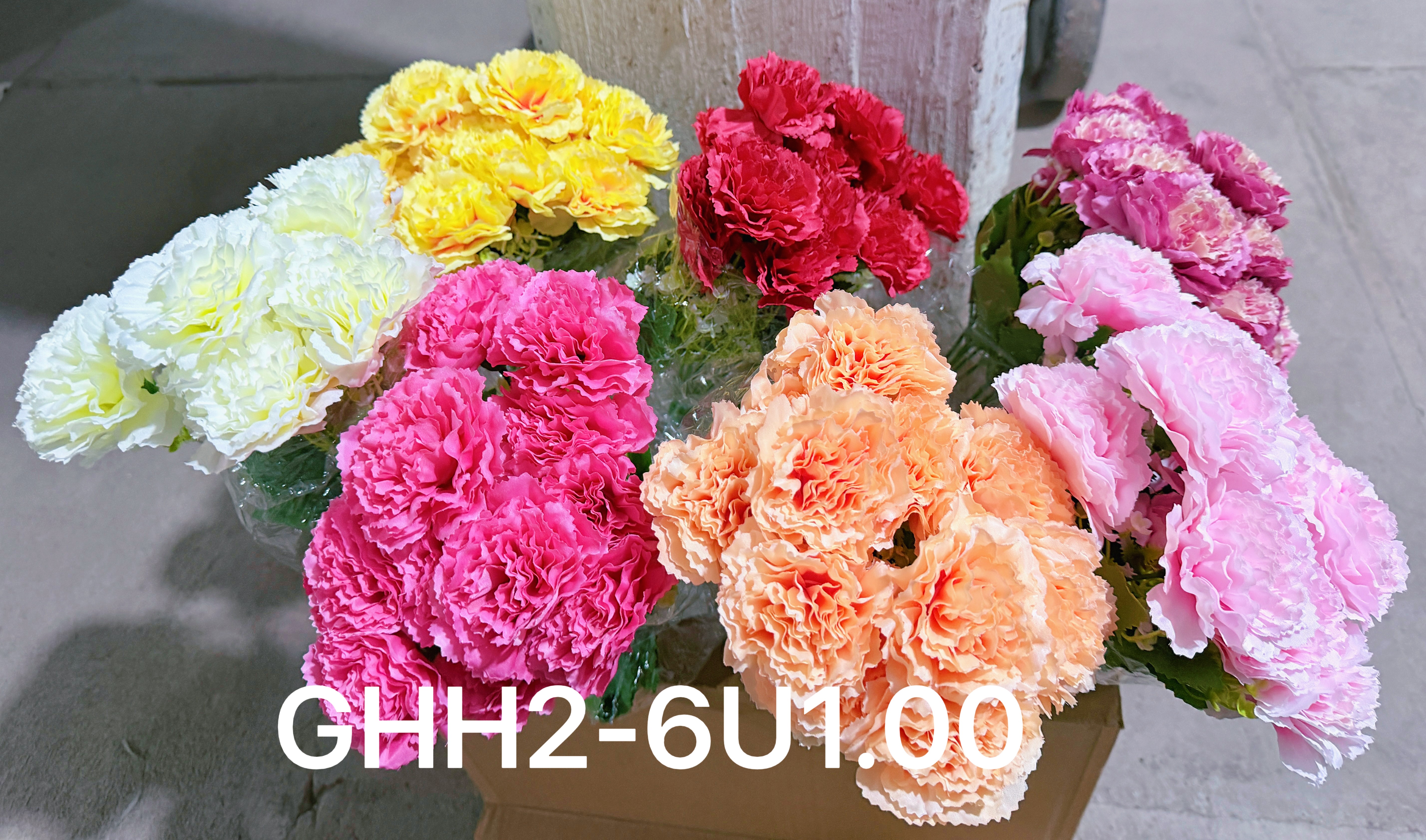 🌹叶子🍃盆栽
