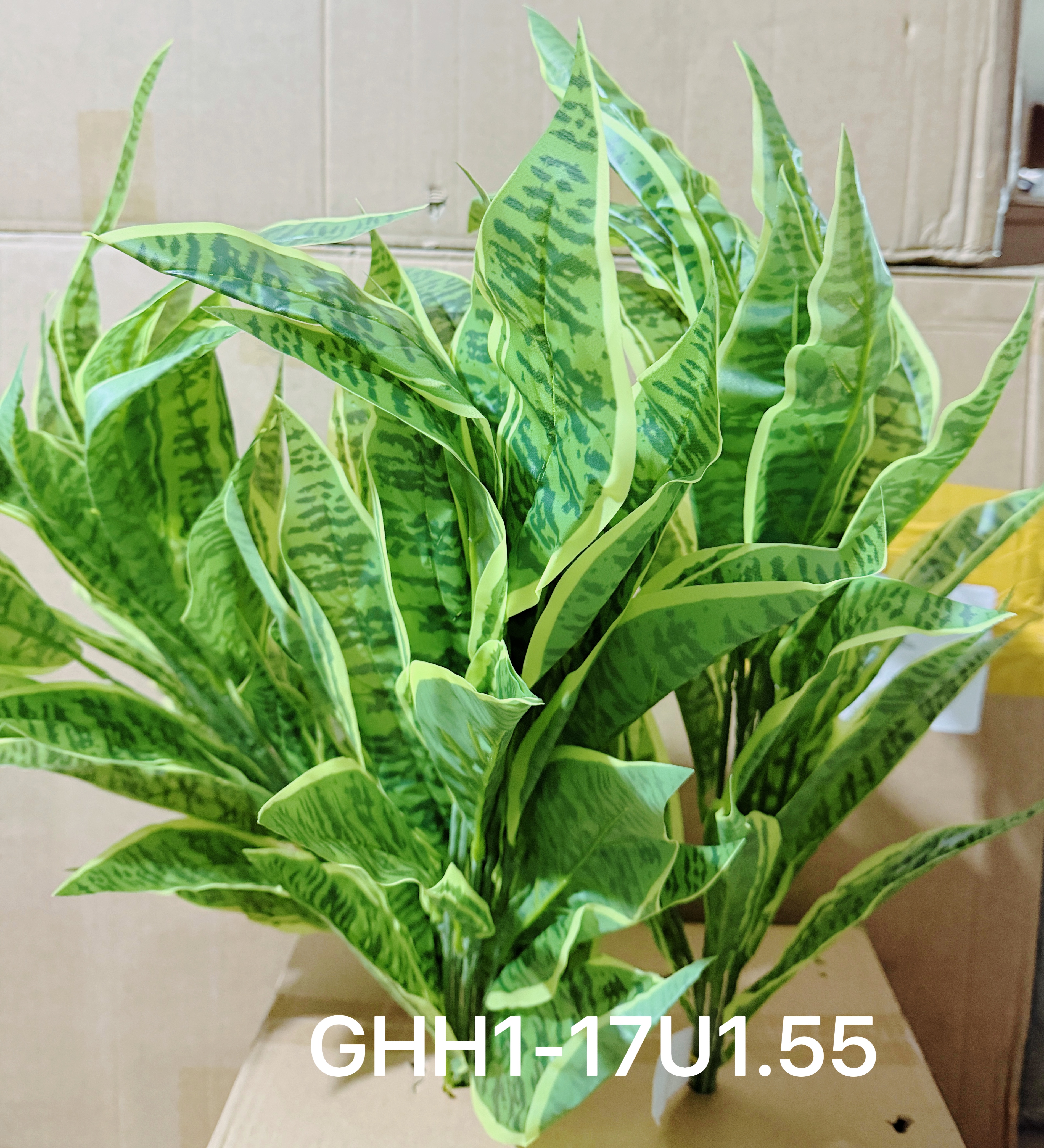🌹叶子🍃盆栽