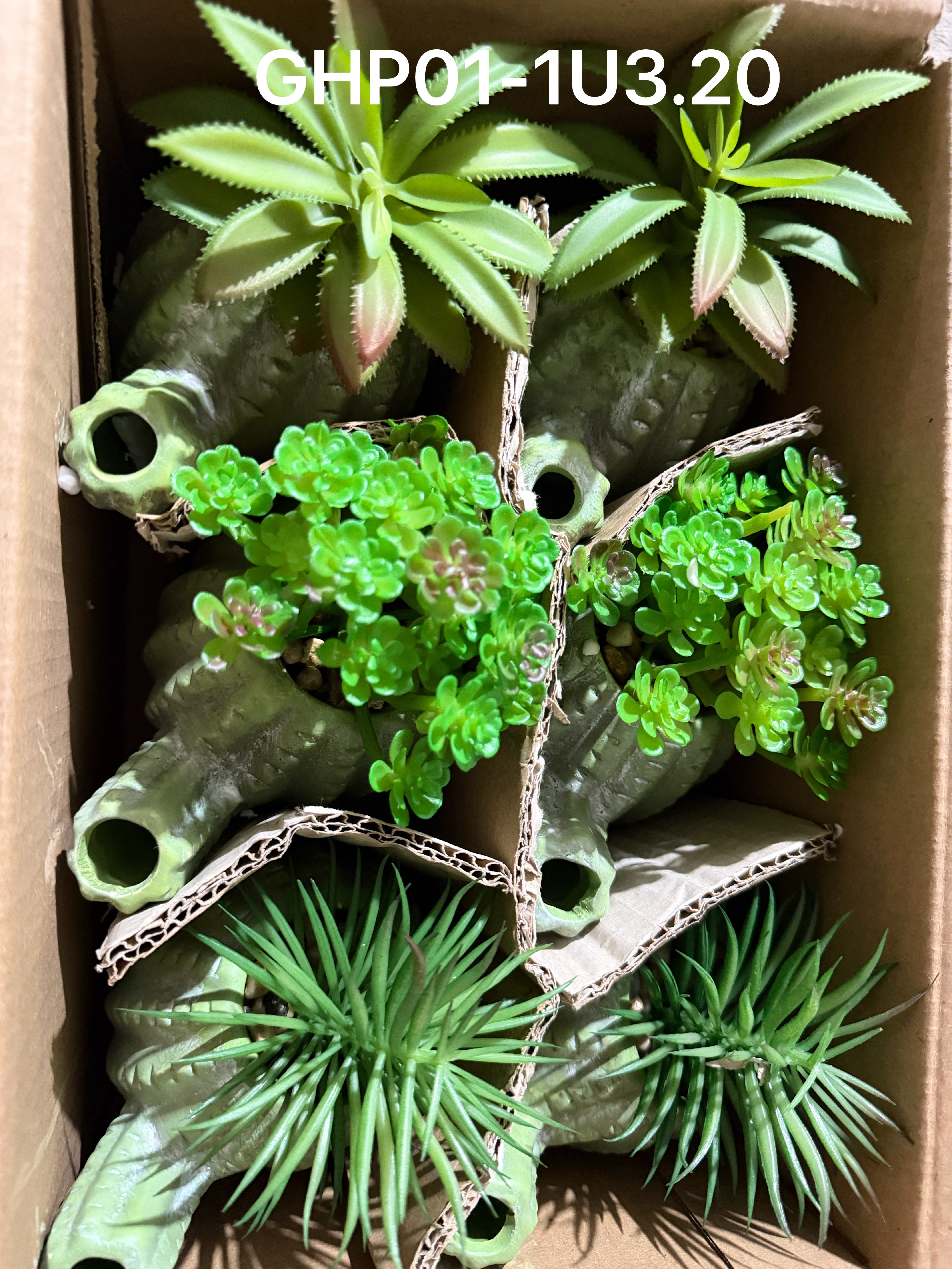 🌹叶子🍃盆栽