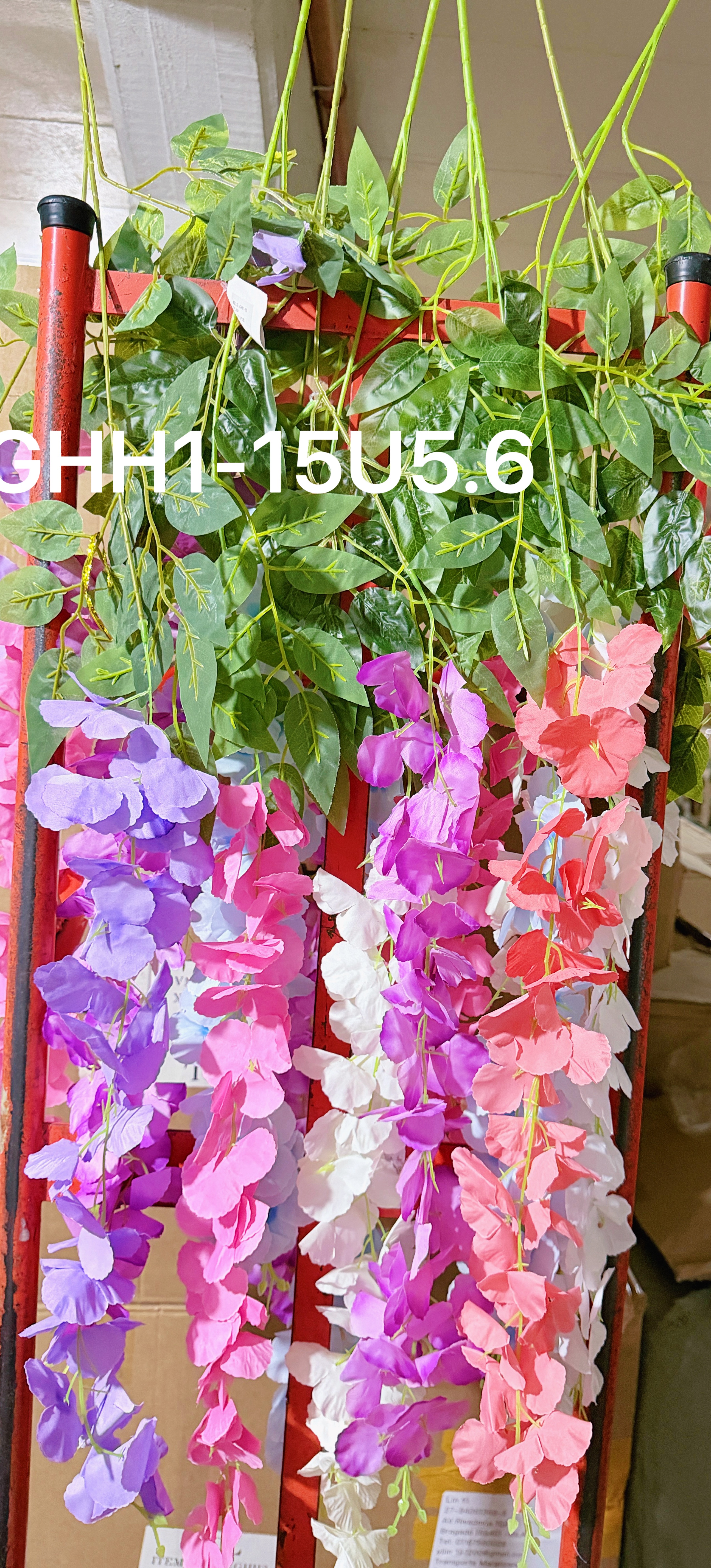 🌹叶子🍃盆栽
