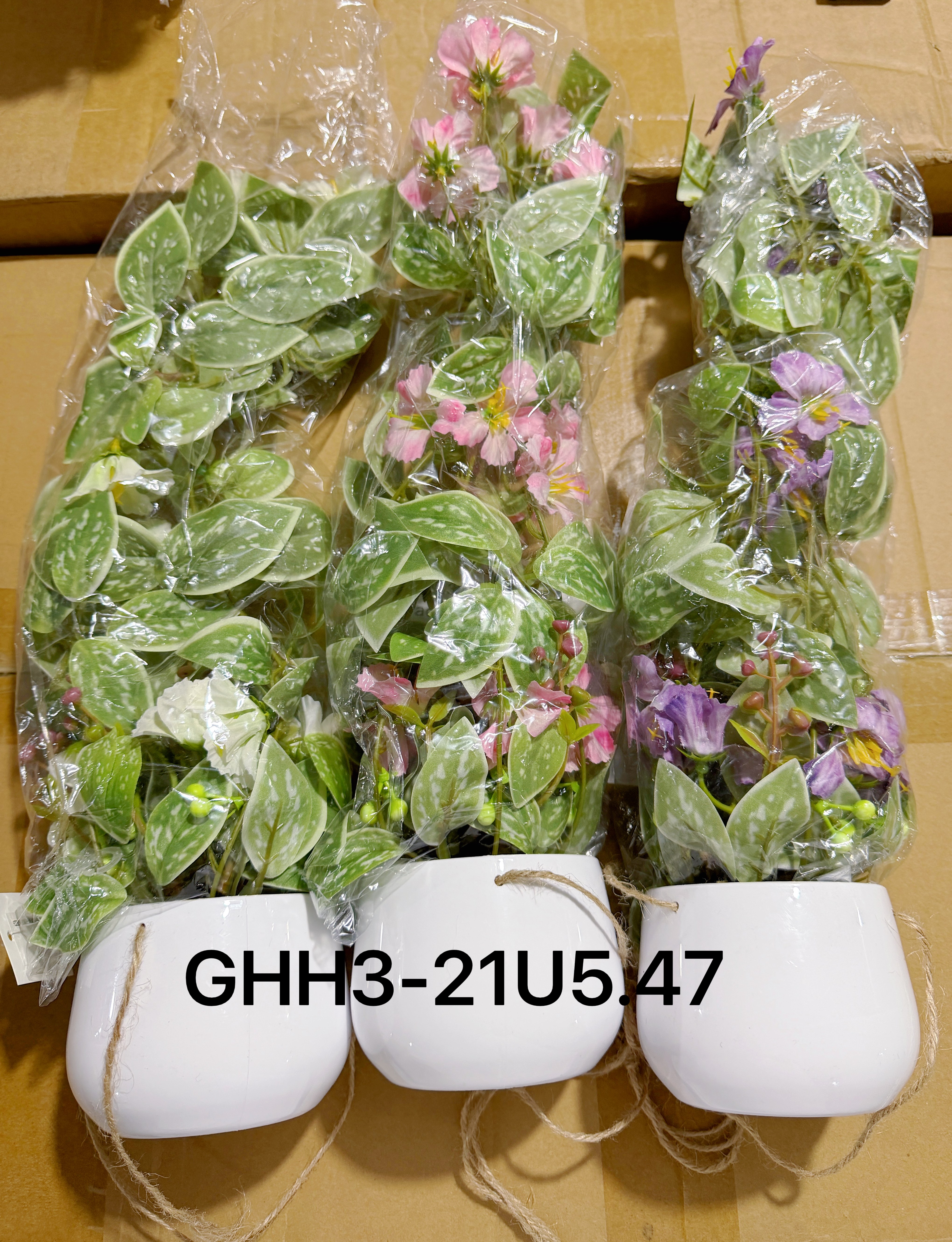 🌹叶子🍃盆栽