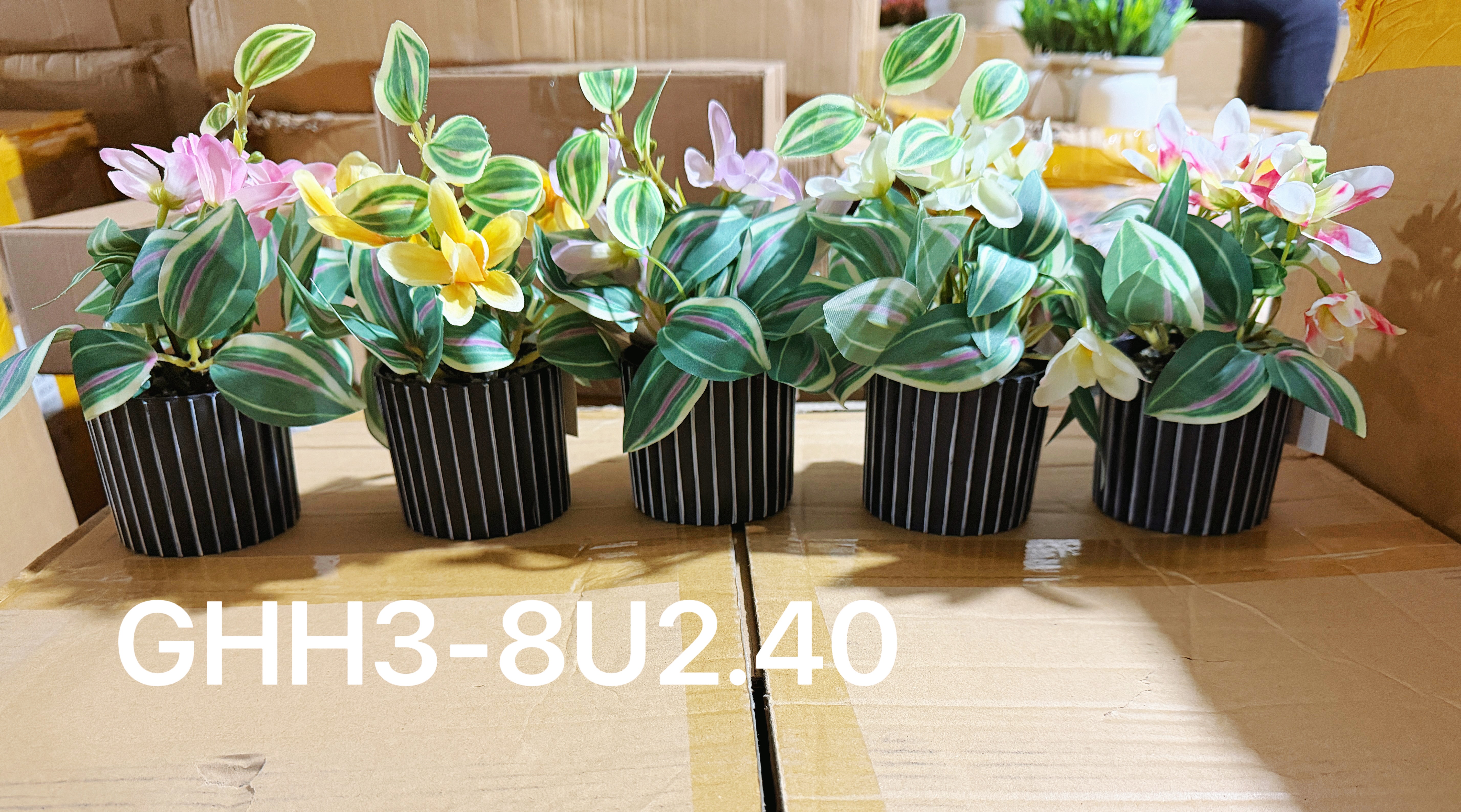 🌹叶子🍃盆栽