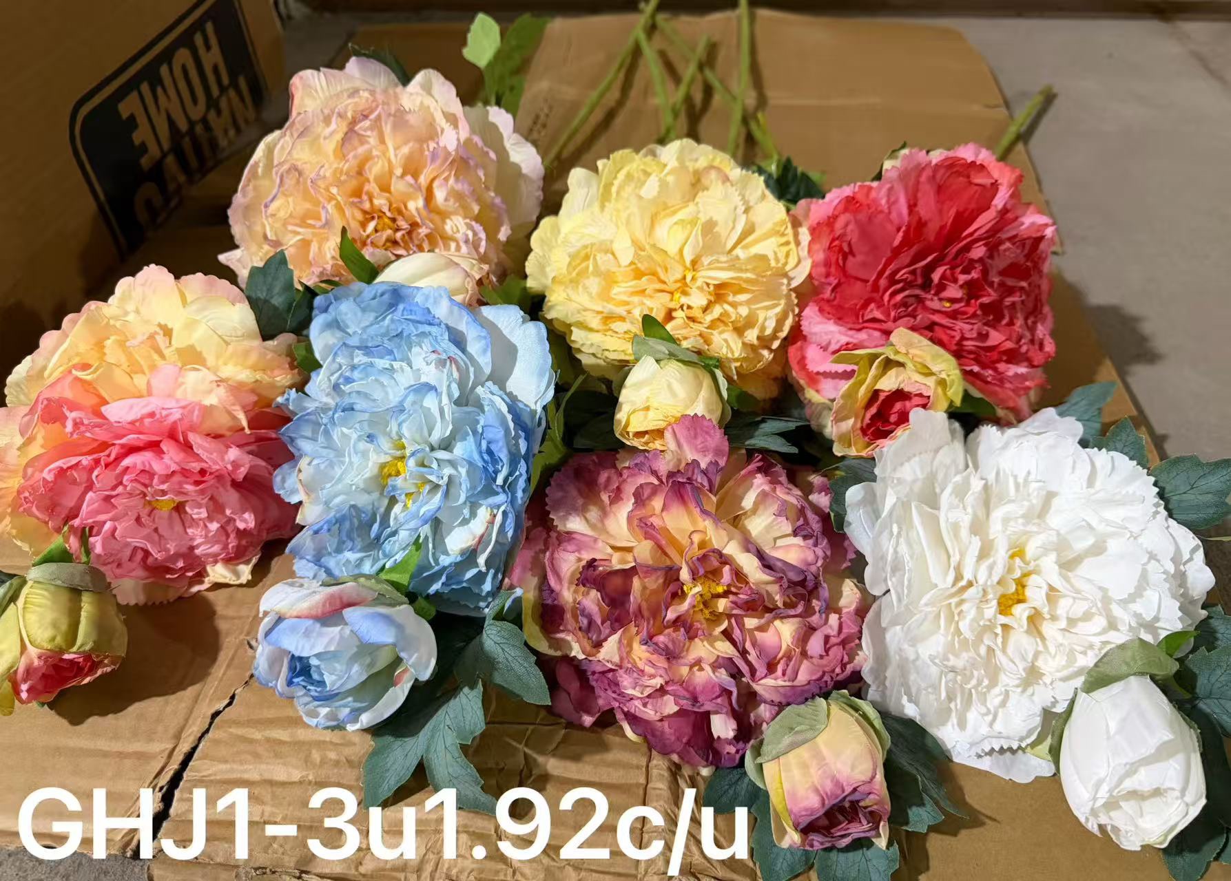 🌹叶子🍃盆栽