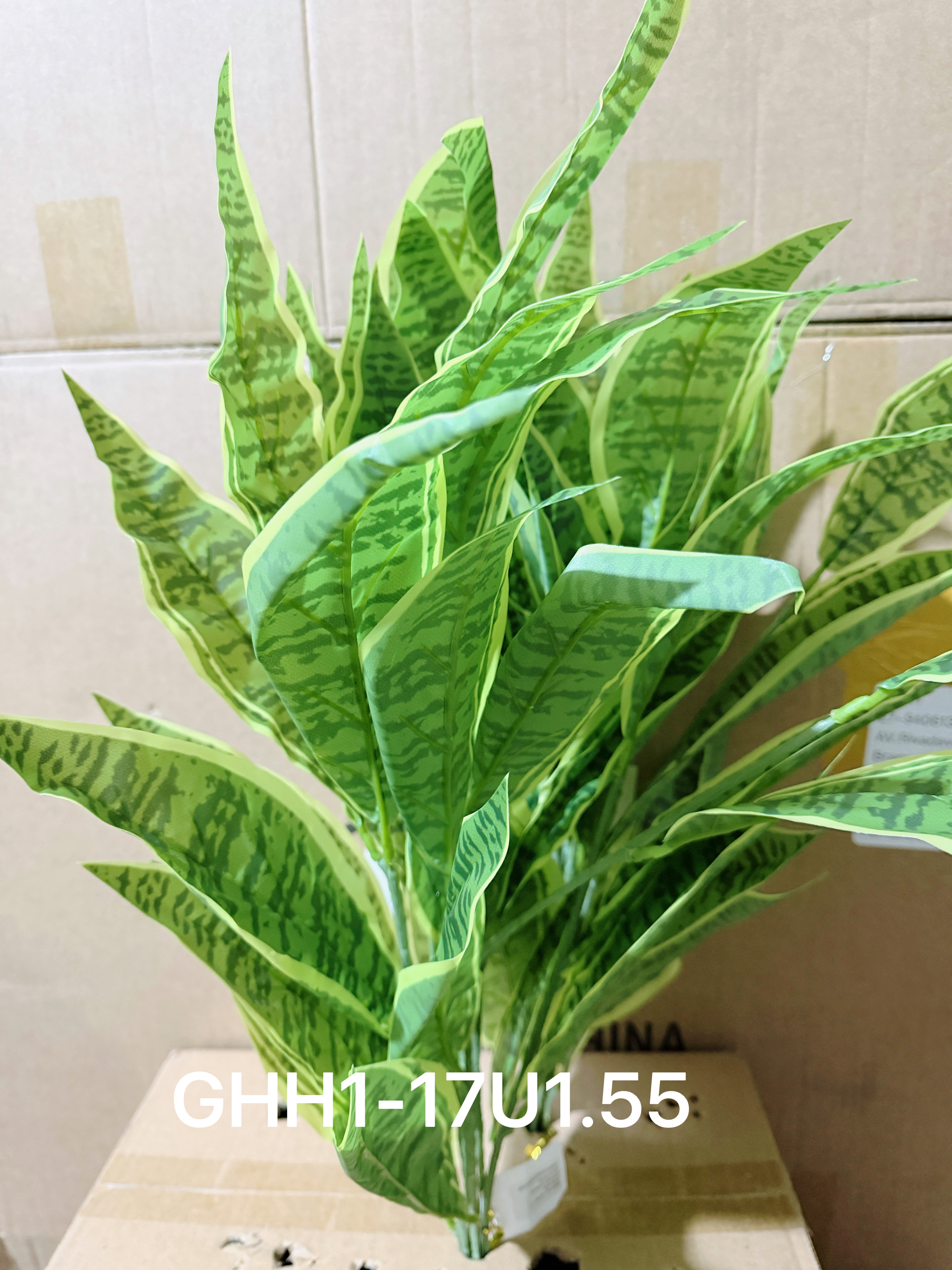 🌹叶子🍃盆栽