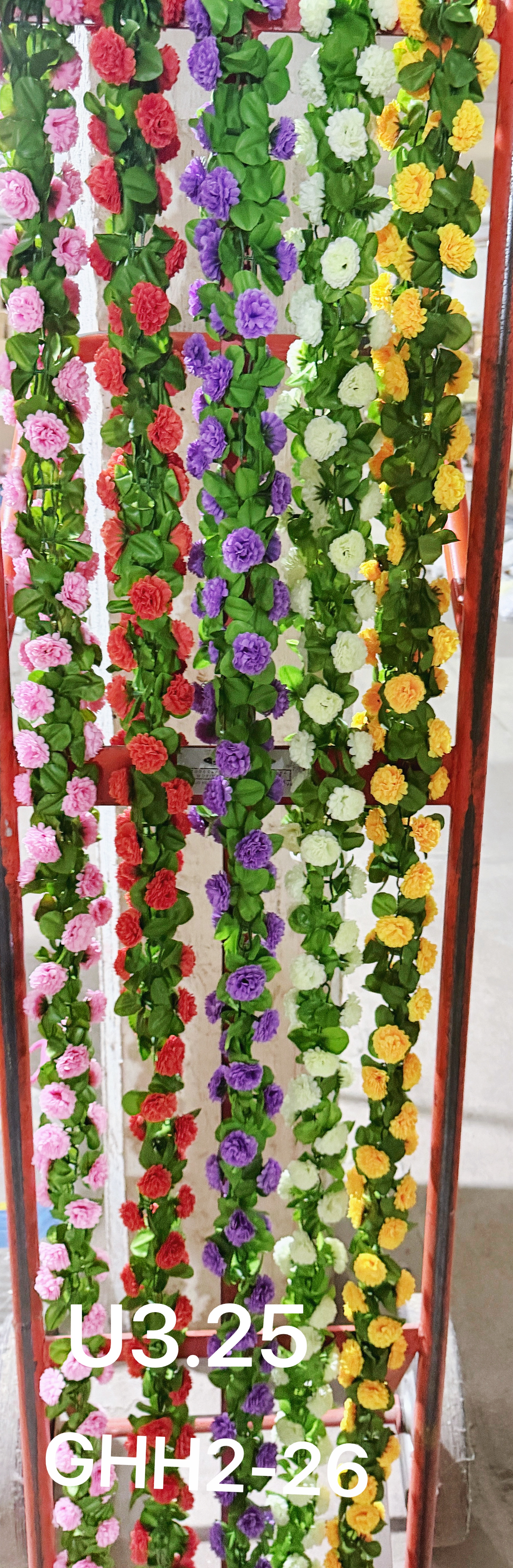 🌹叶子🍃盆栽