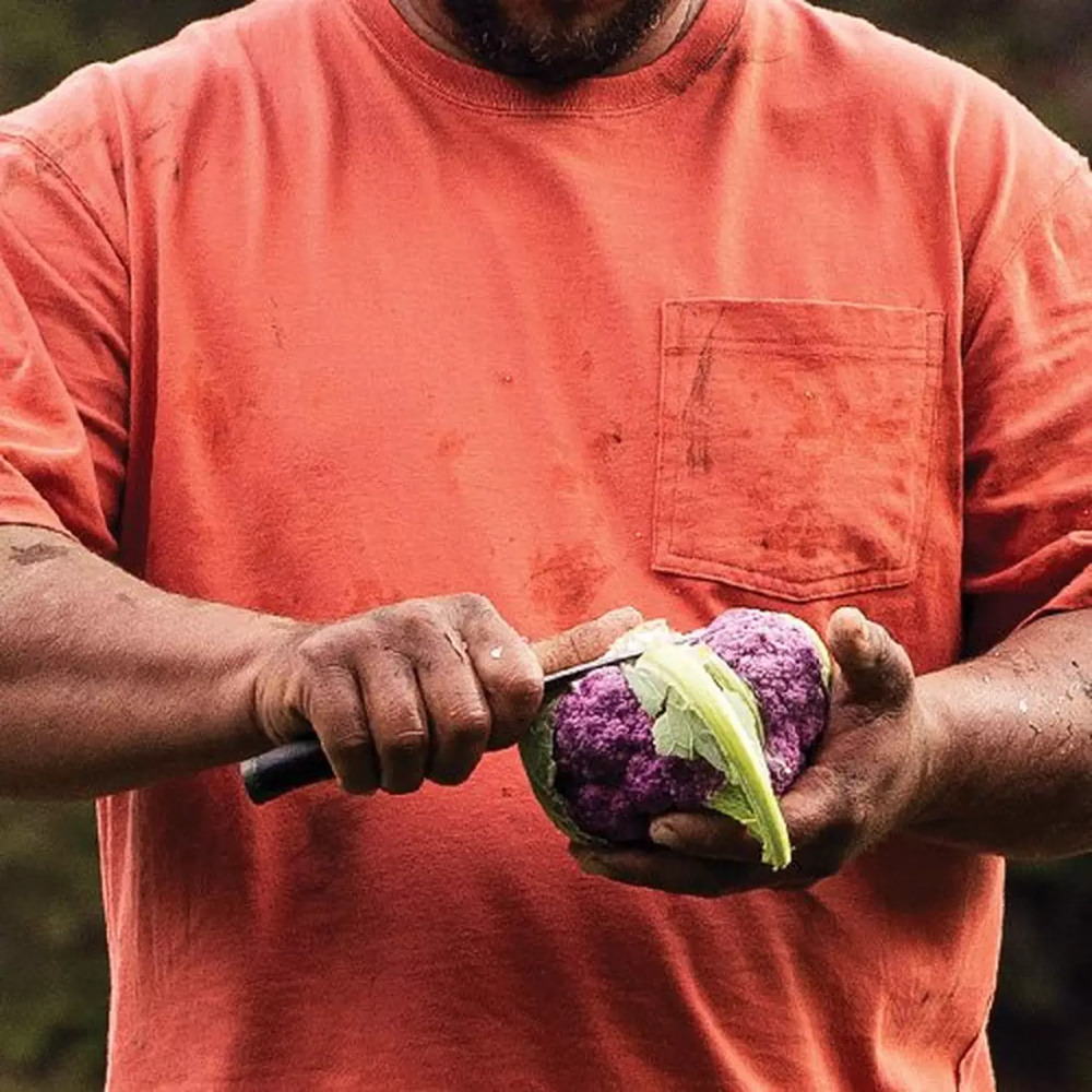 Roomy chest pocket detail