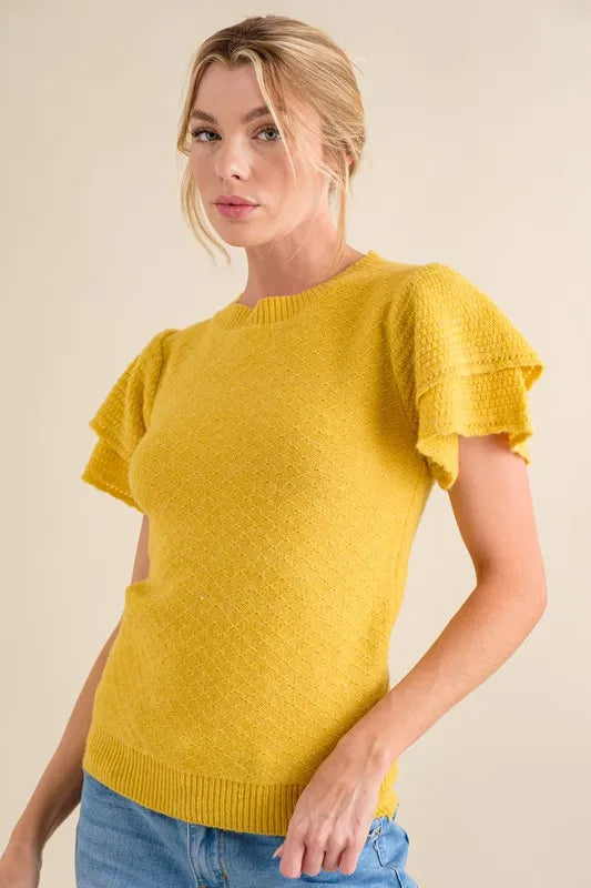 Double Layered Ruffle Sleeves Sweater Top