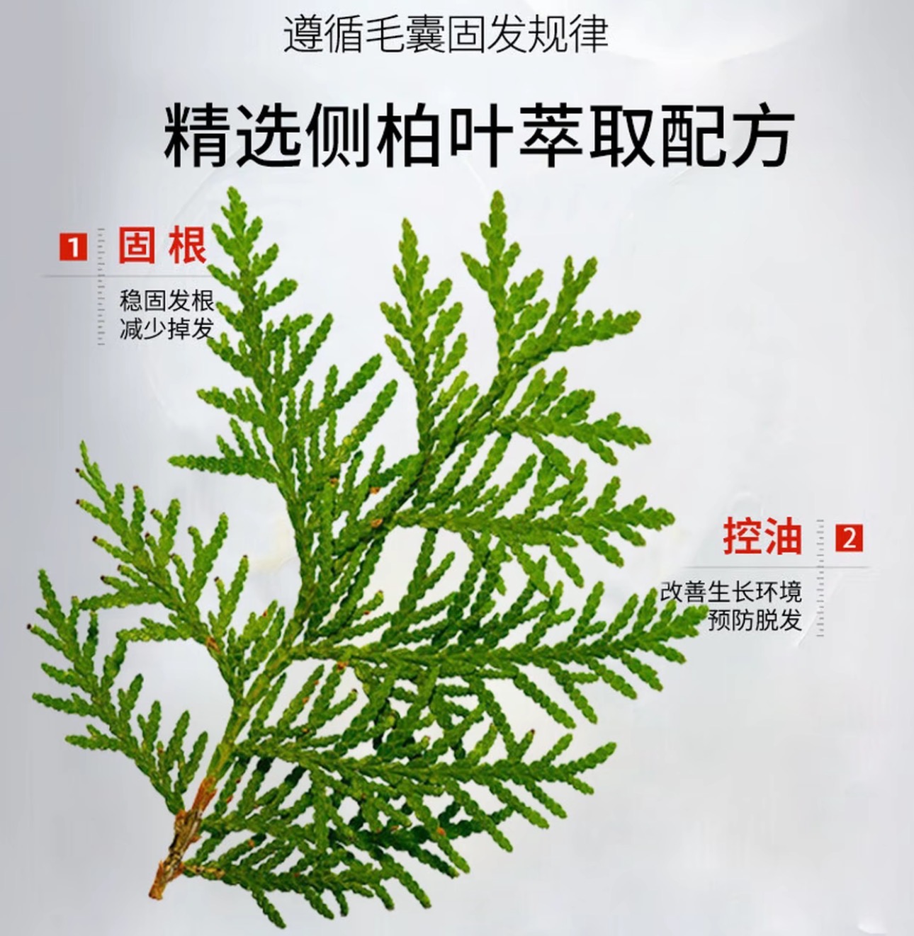 Yuqingtang Anti-Hair Loss and Hair Strengthening Shampoo 500ml/bottle