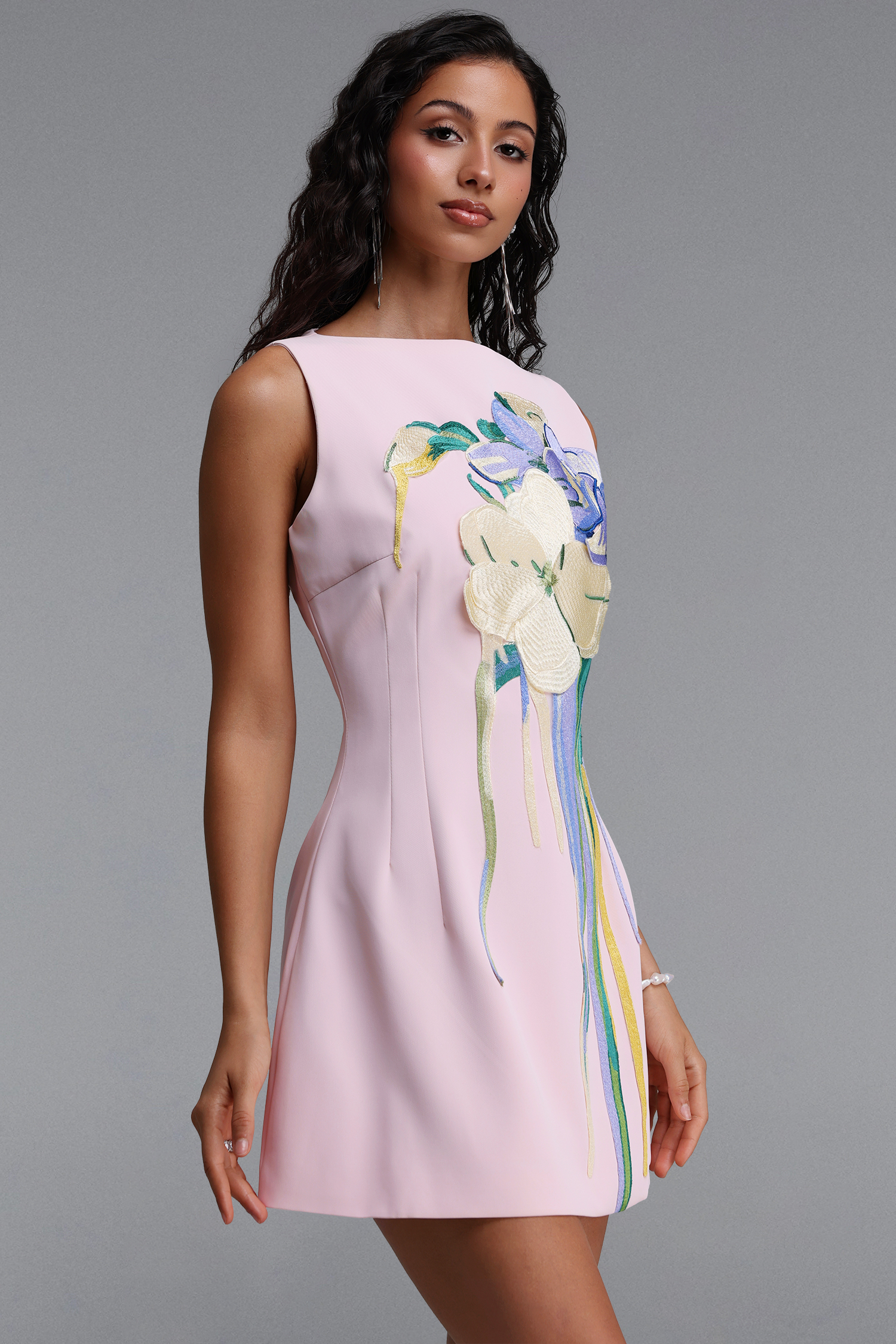 Ali Embroidered Boat Neck Mini Dress