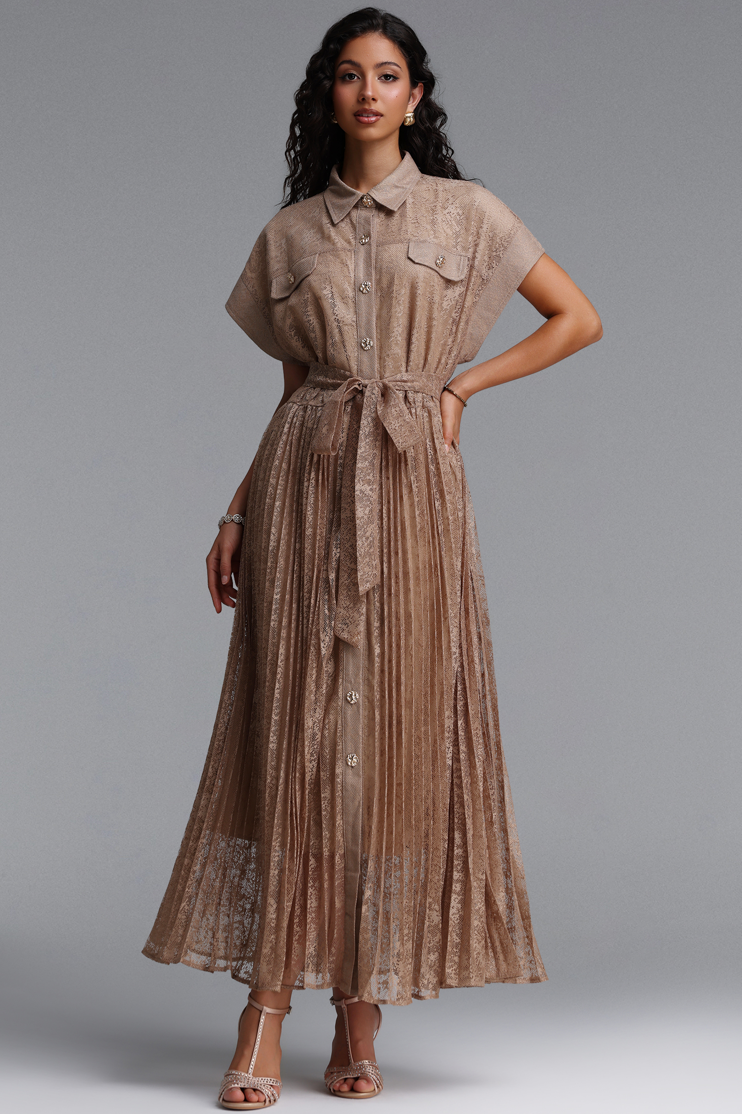 Sophia Vintage Tailored Sleeveless Lace Maxi Dress