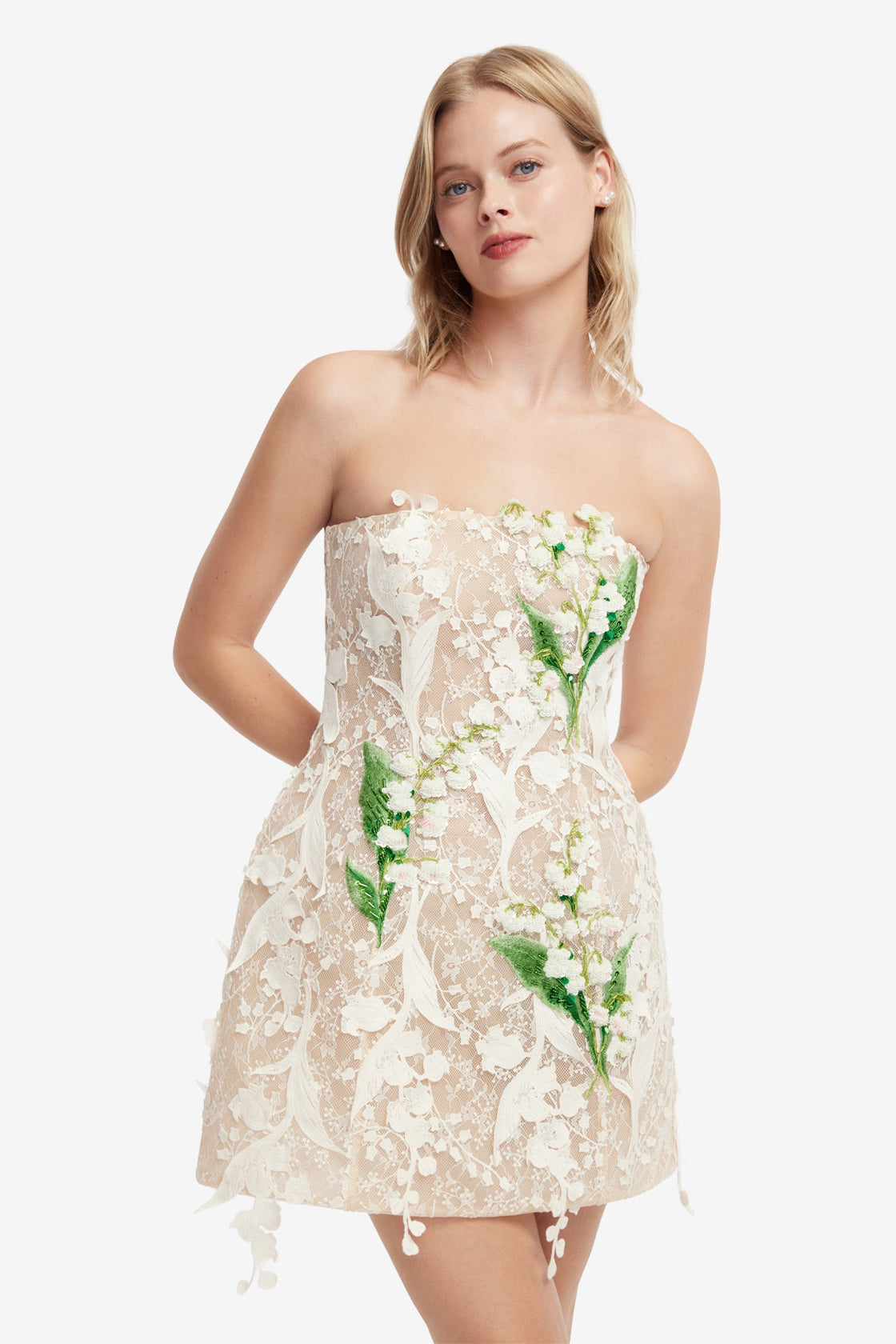 Roselle Embellished Lace Bustier Mini Dress
