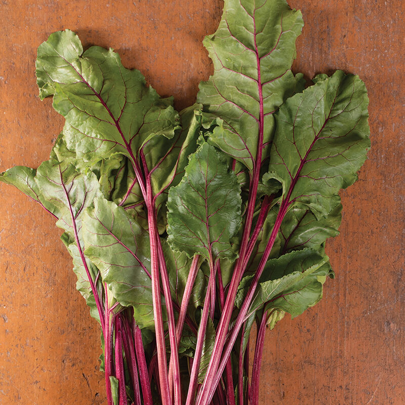 Early Wonder Tall Top Beet – Great for Greens & Beetroots